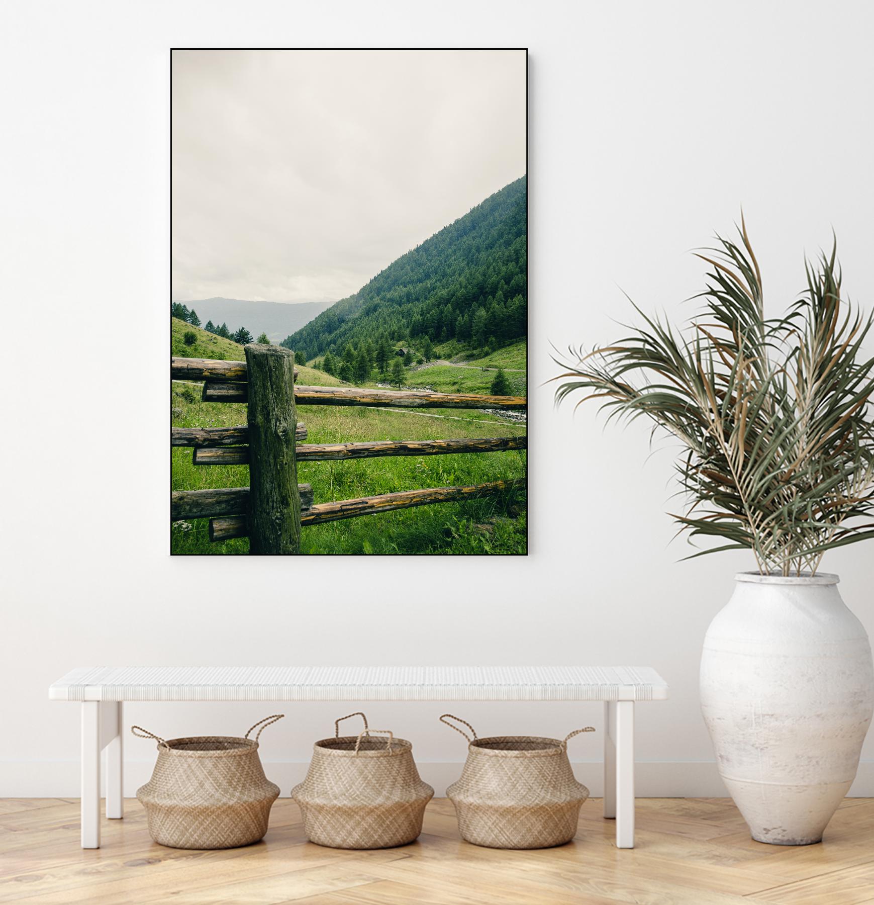 This view by Pexels on GIANT ART - white landscape