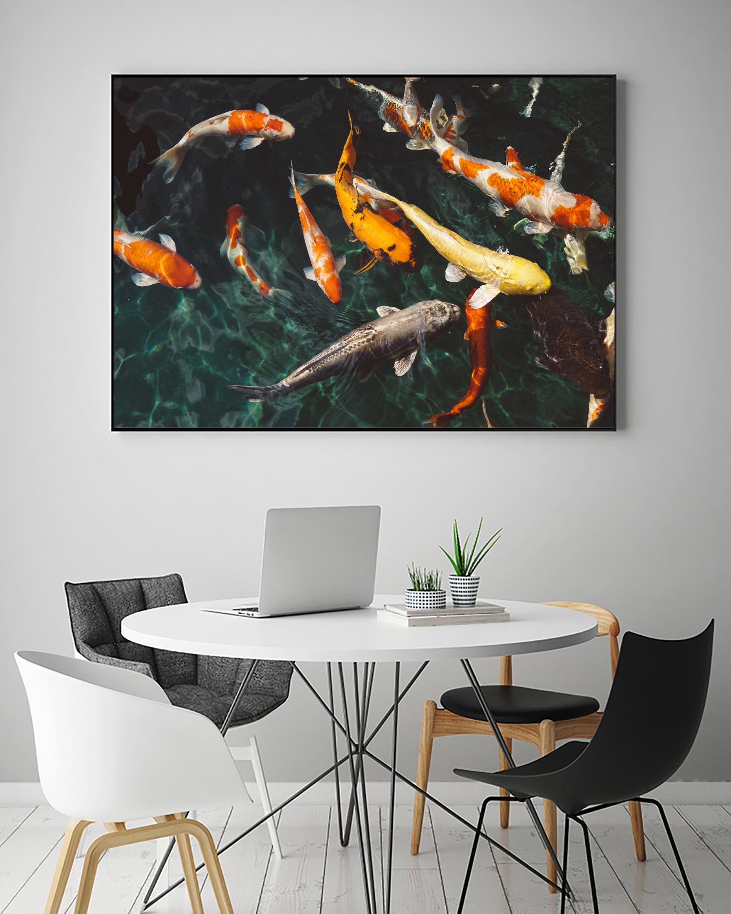 Koi by Pexels on GIANT ART - green animals