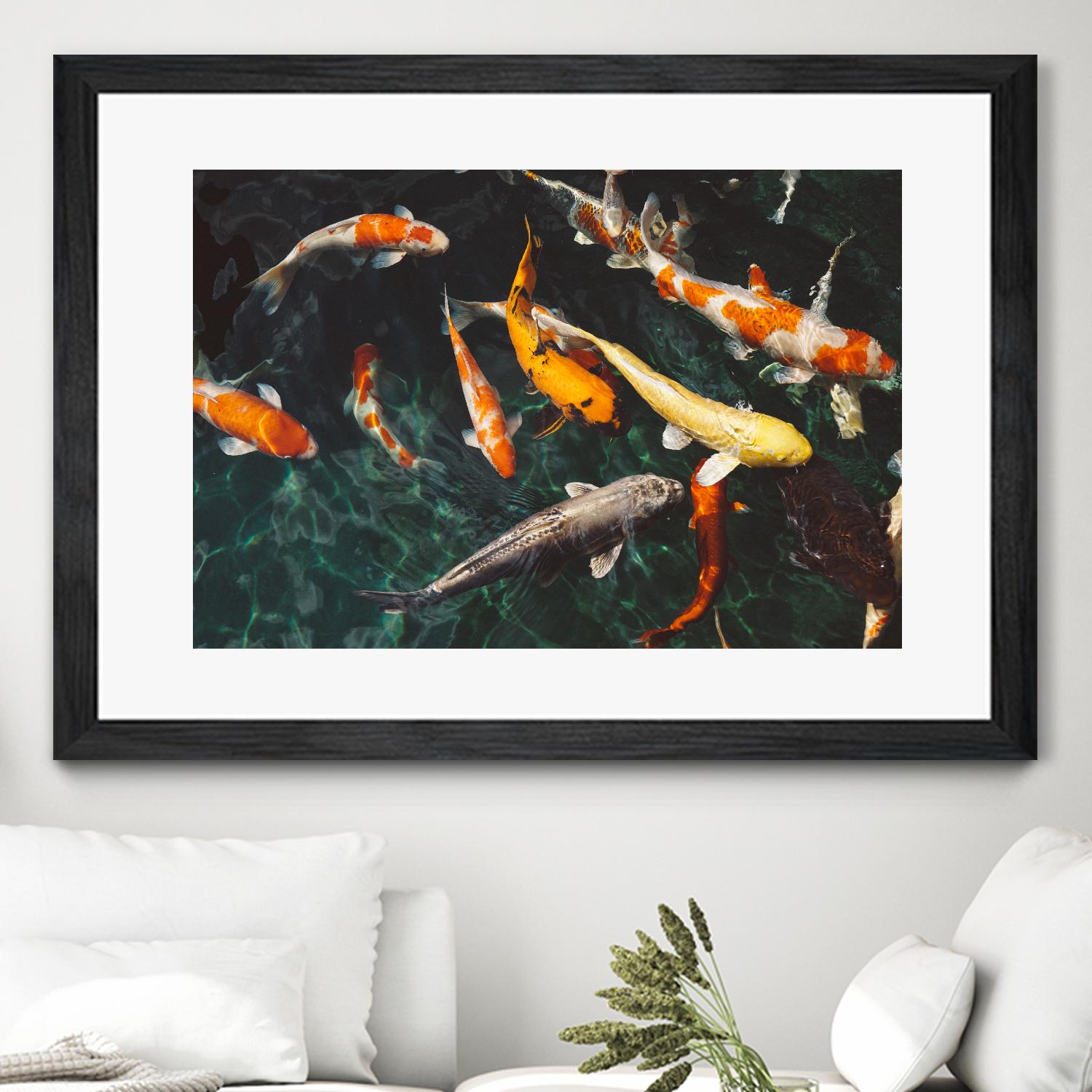 Koi by Pexels on GIANT ART - green animals