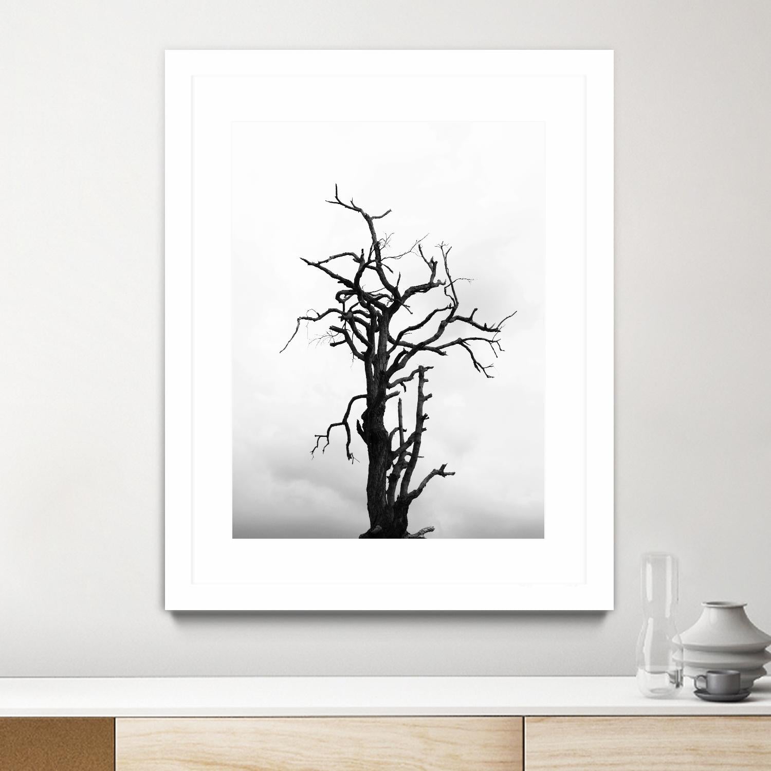 Dead tree by Pexels on GIANT ART - white trees