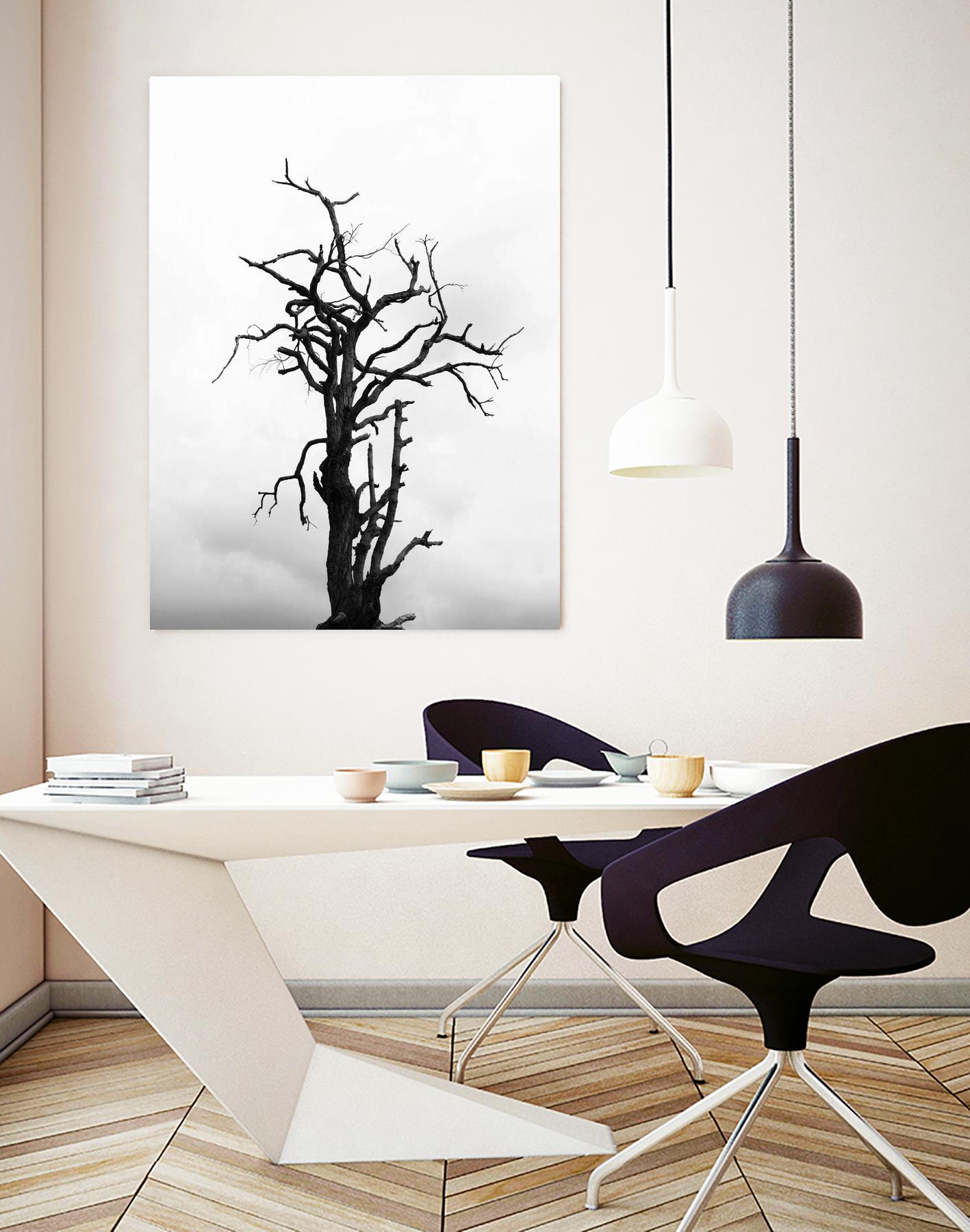 Dead tree by Pexels on GIANT ART - white trees