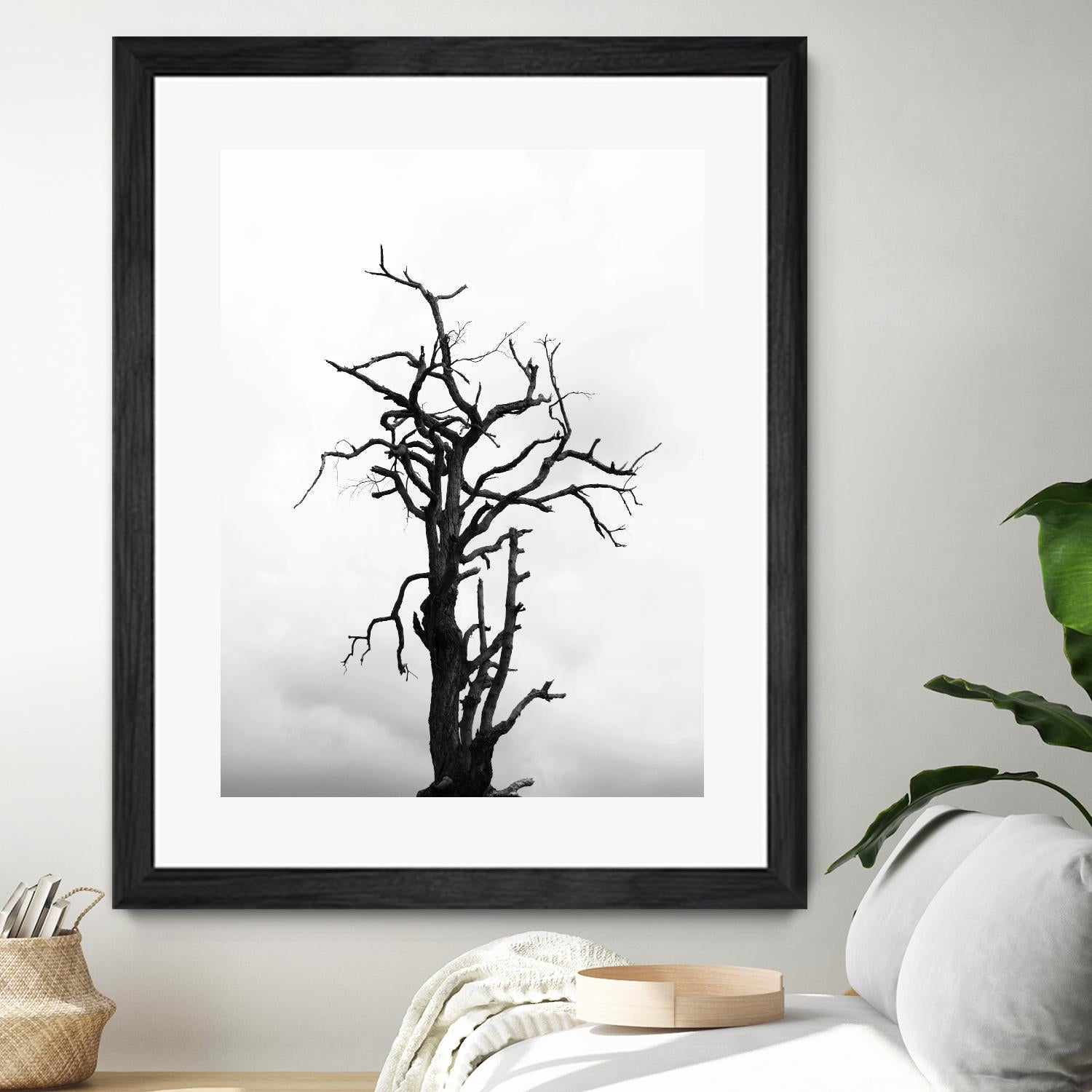 Dead tree by Pexels on GIANT ART - white trees