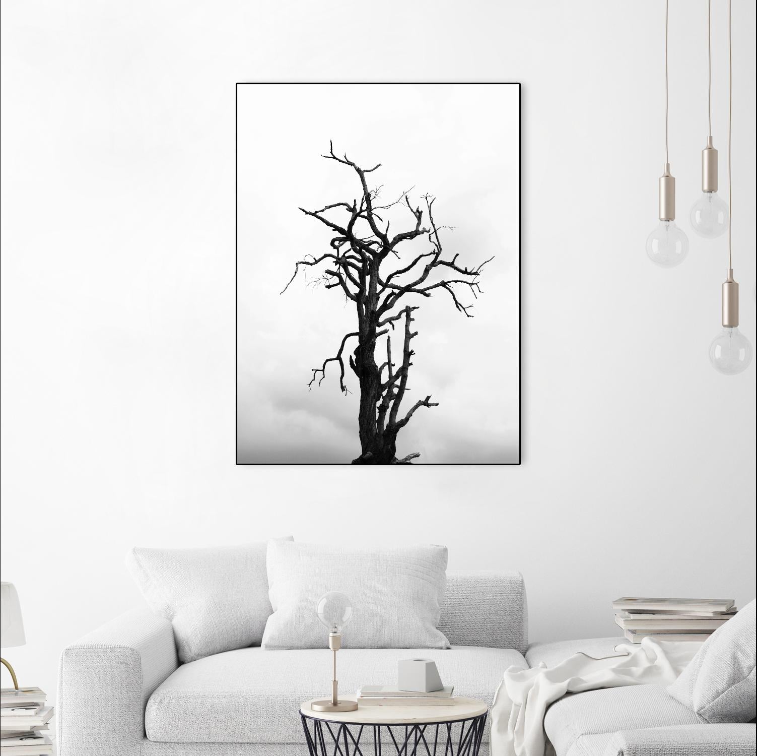 Dead tree by Pexels on GIANT ART - white trees
