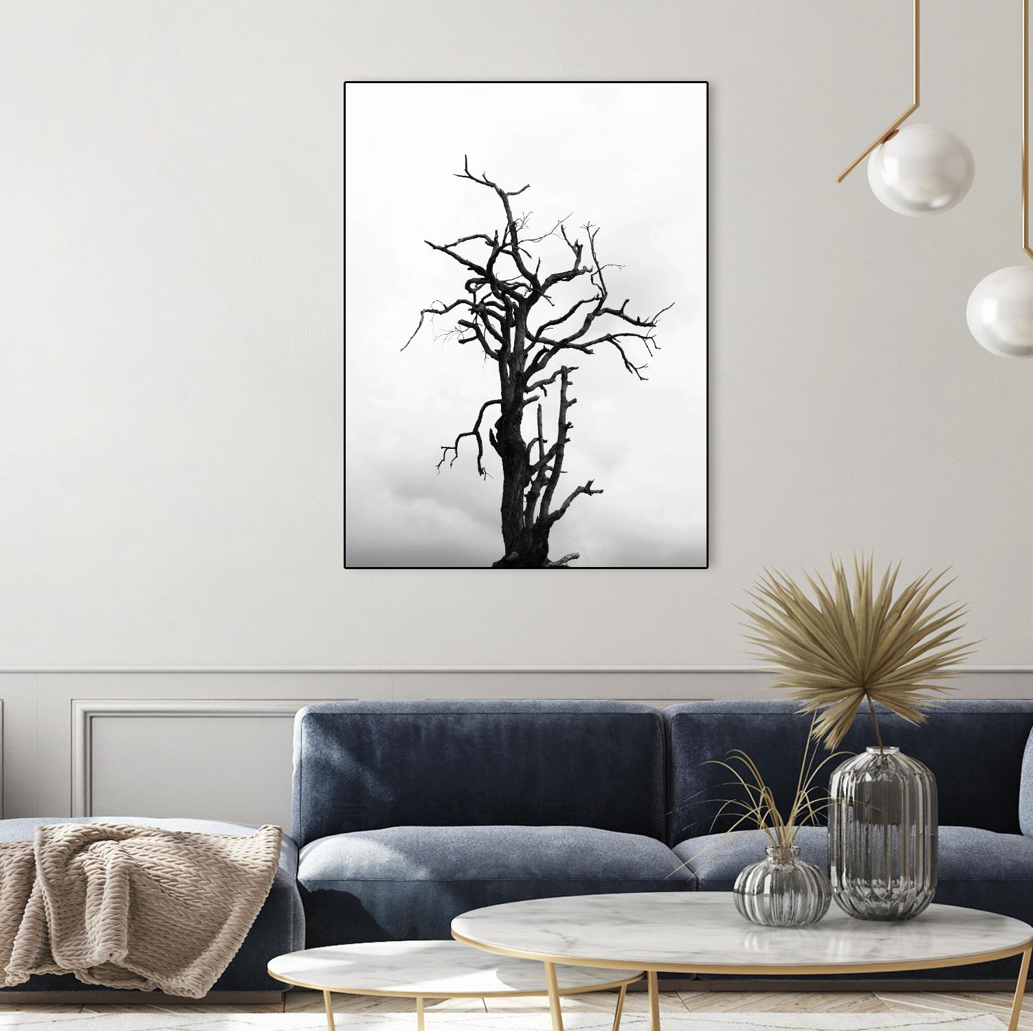 Dead tree by Pexels on GIANT ART - white trees