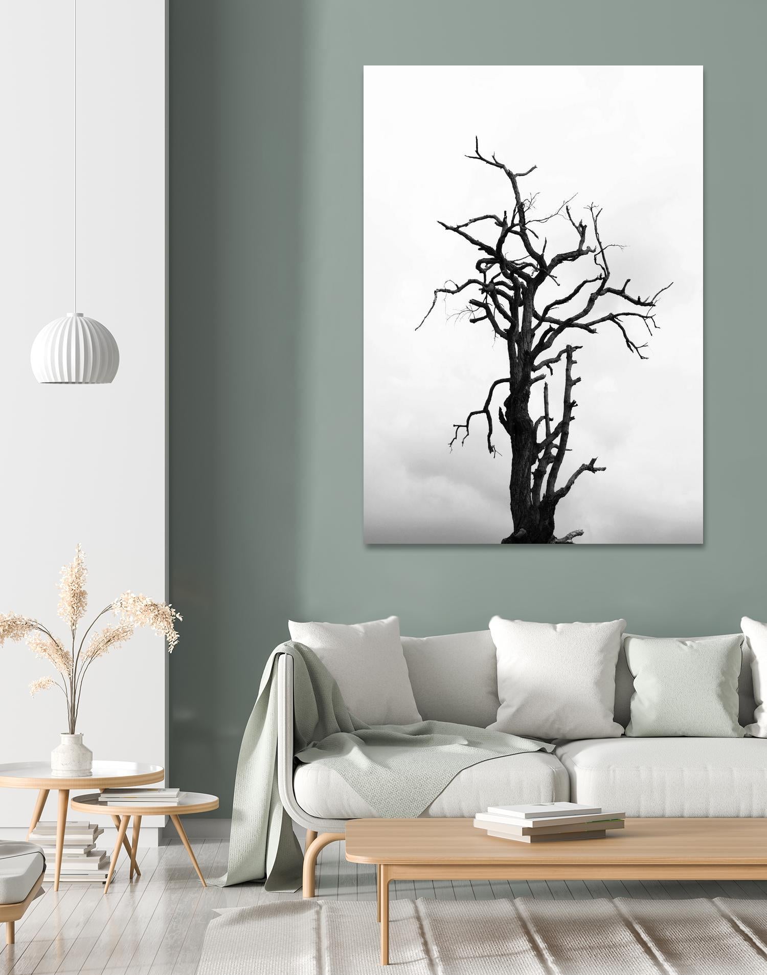 Dead tree by Pexels on GIANT ART - white trees