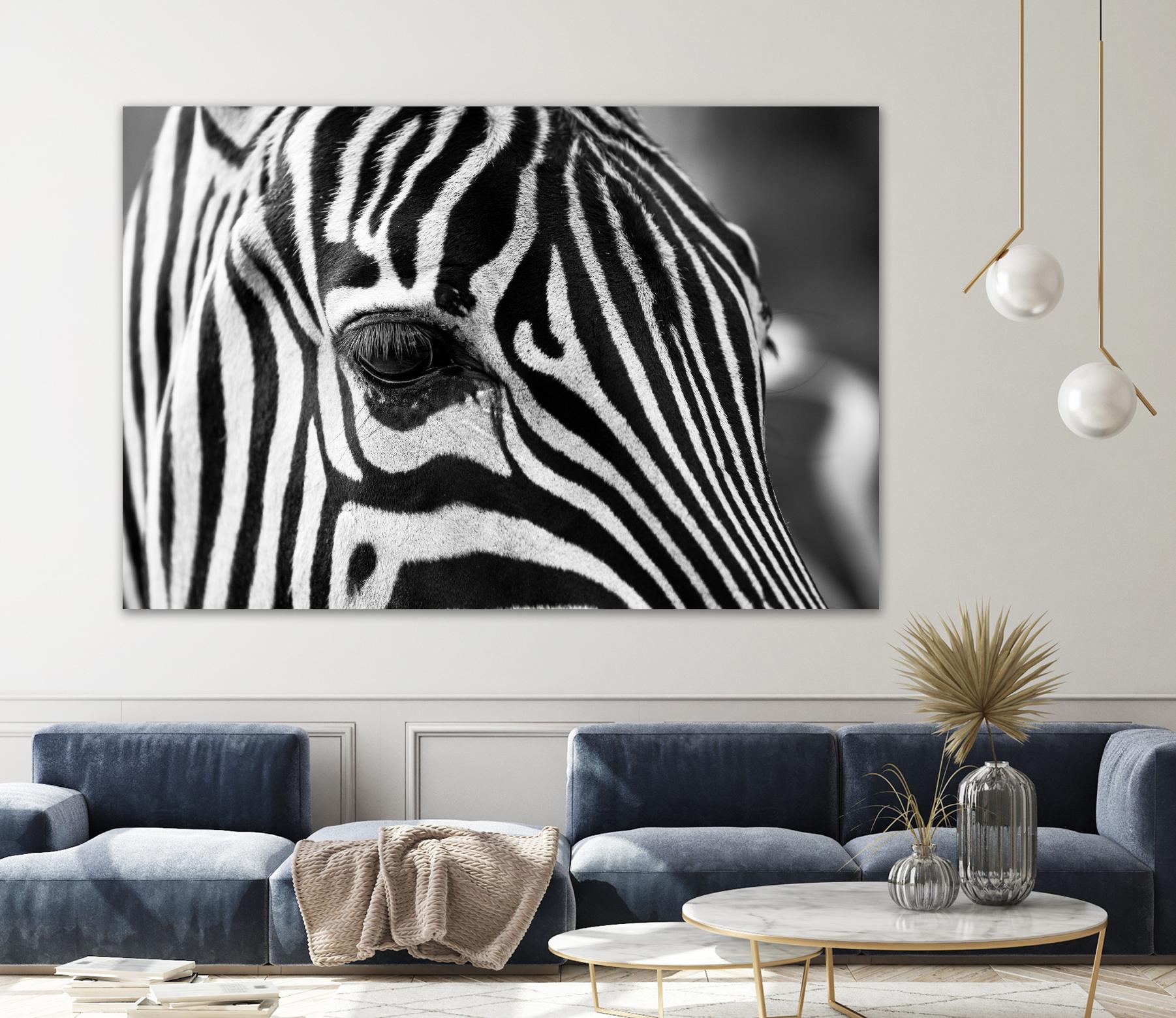 Zoomed Zebra by Pexels on GIANT ART - white animals