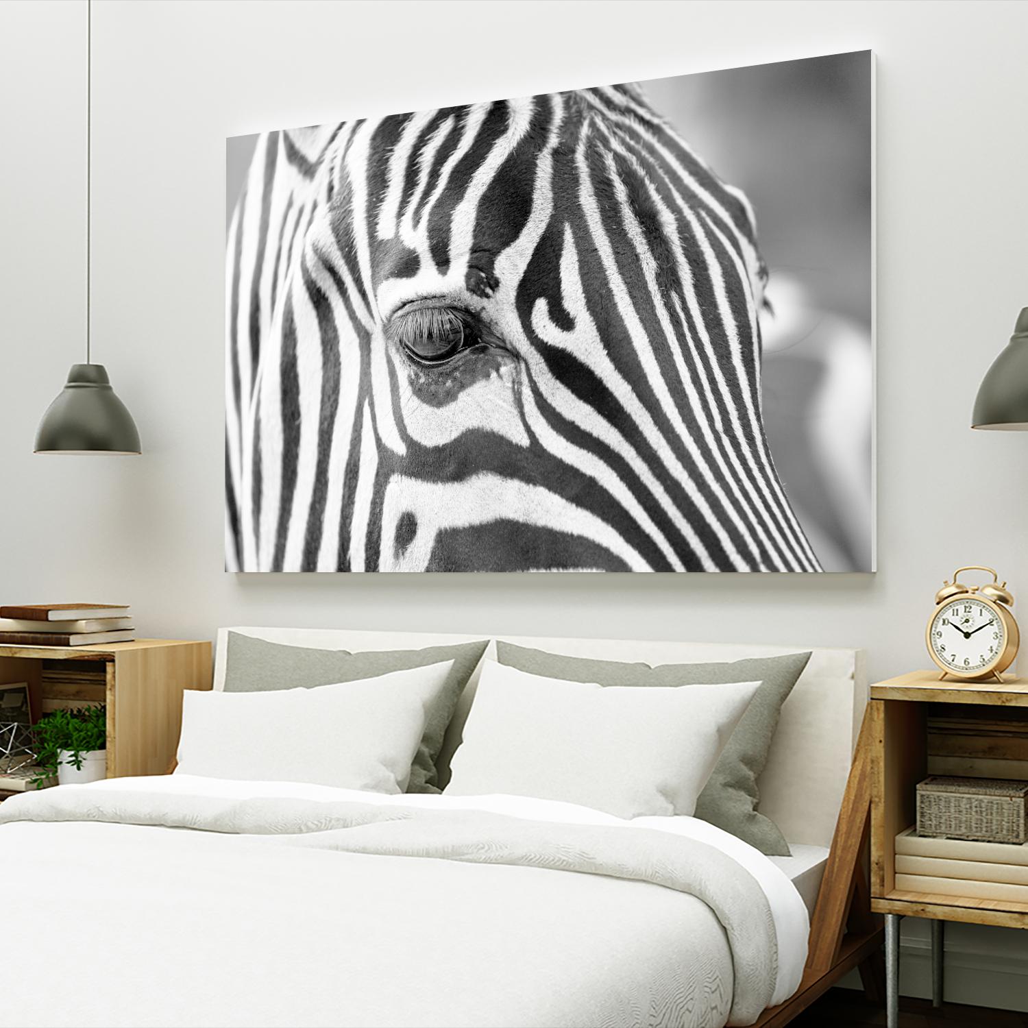 Zoomed Zebra by Pexels on GIANT ART - white animals