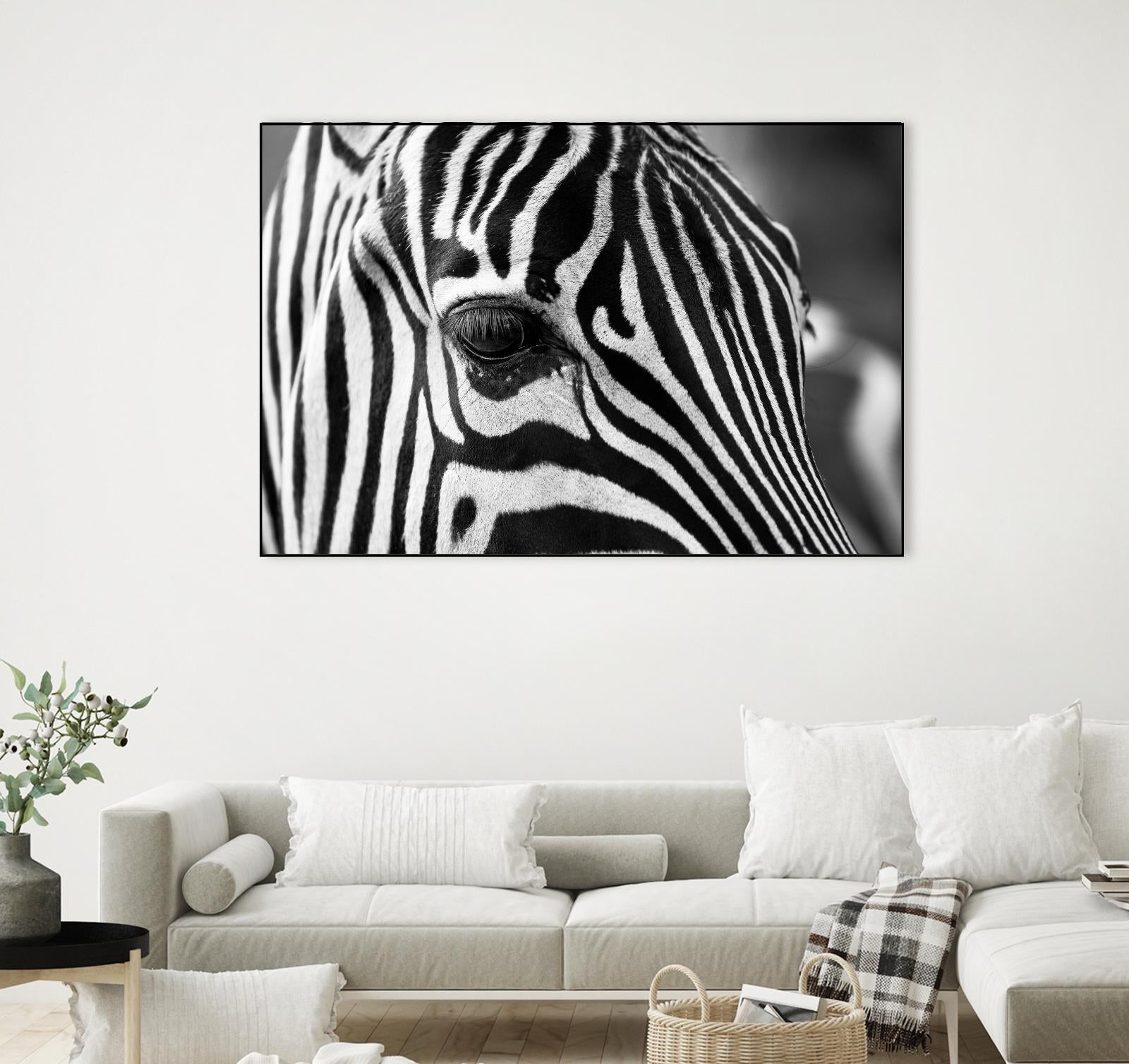 Zoomed Zebra by Pexels on GIANT ART - white animals