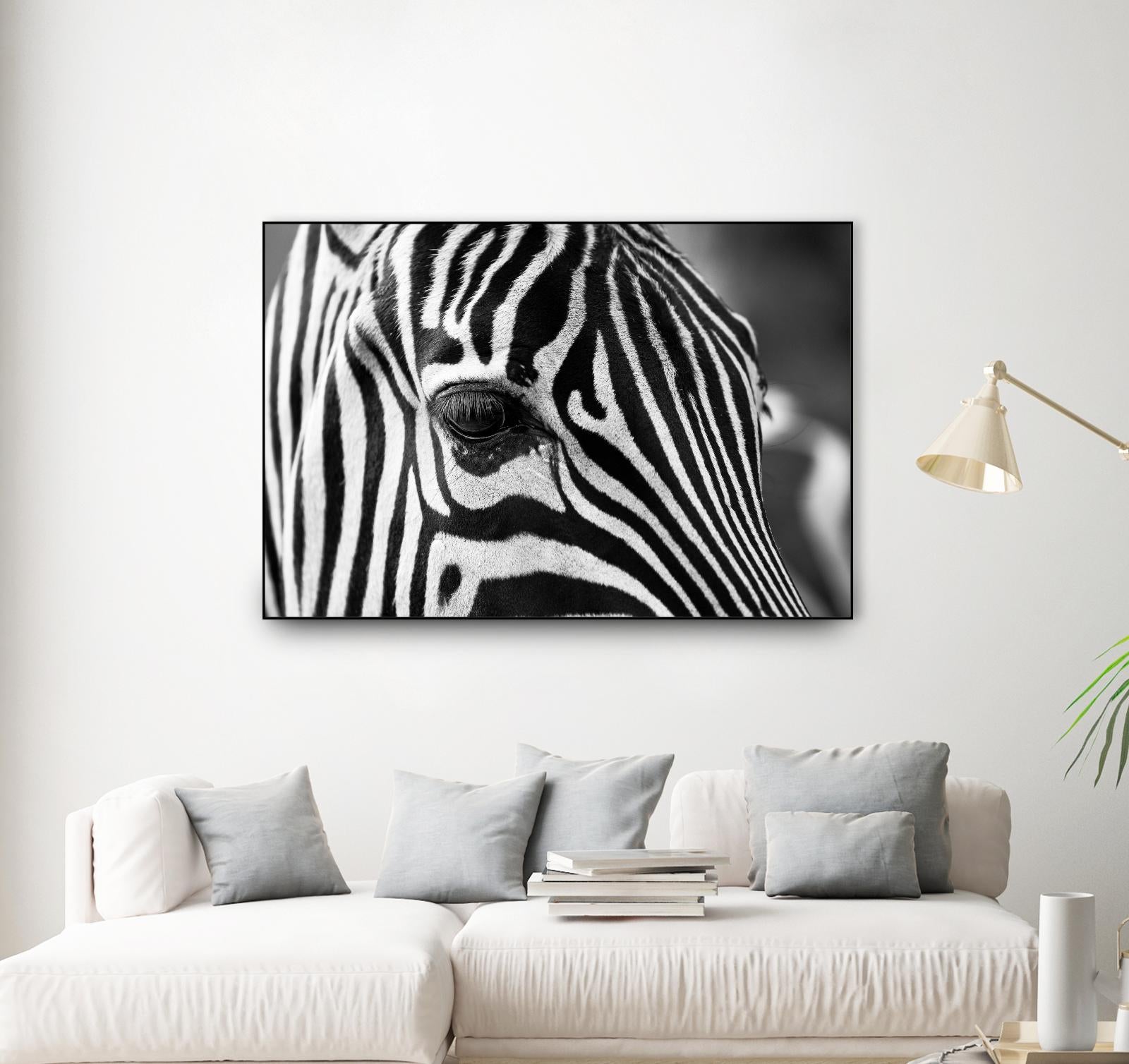 Zoomed Zebra by Pexels on GIANT ART - white animals