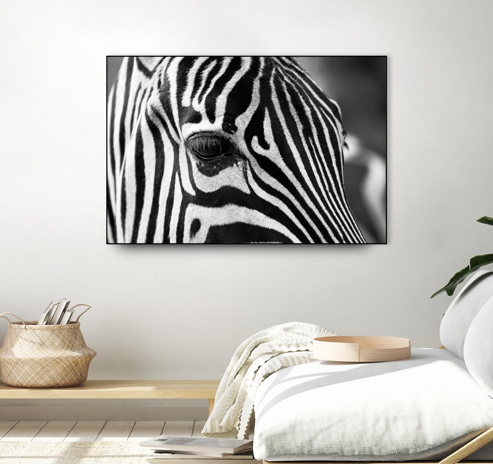 Zoomed Zebra by Pexels on GIANT ART - white animals