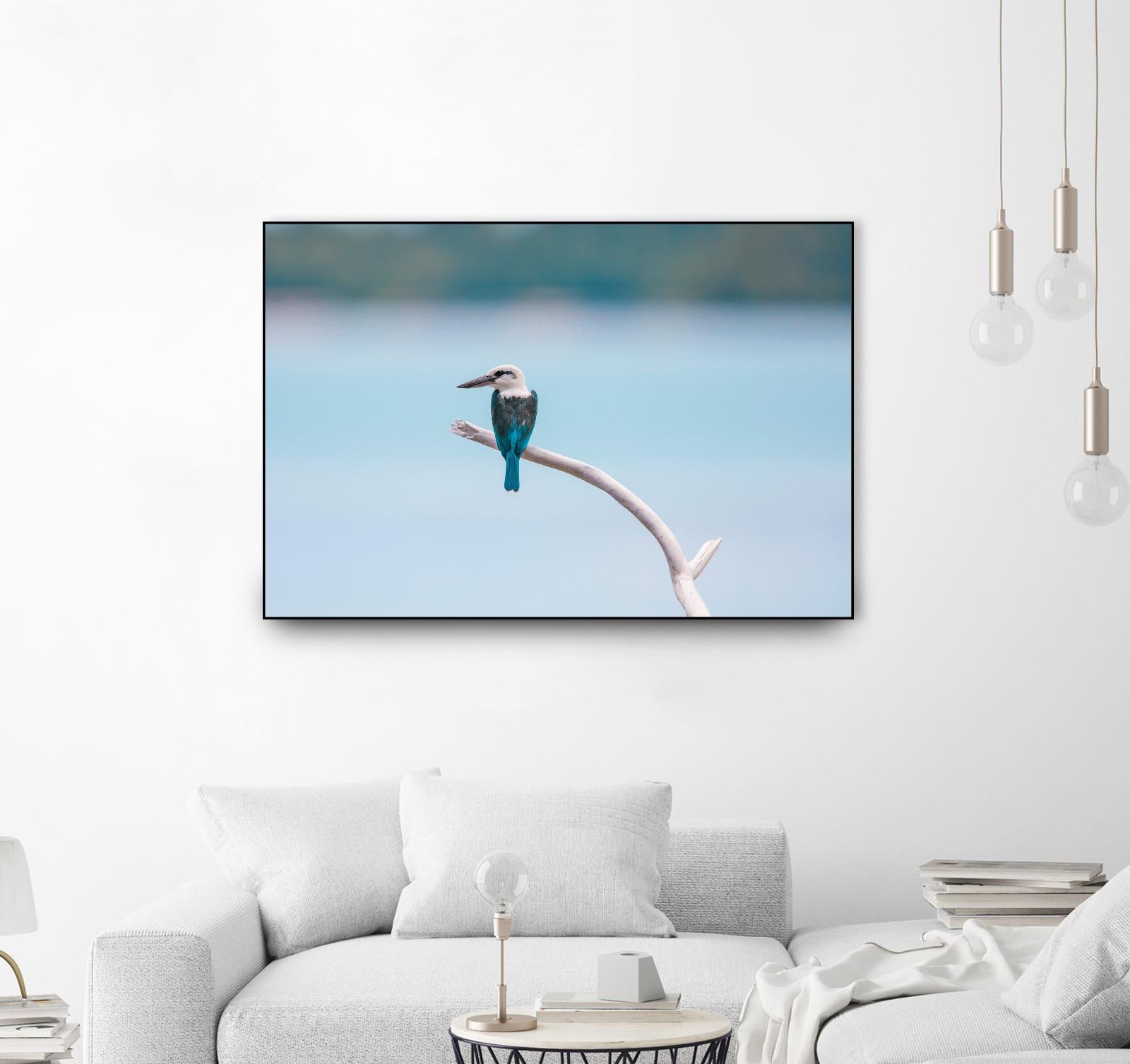 Bird on a branch by Pexels on GIANT ART - white animals