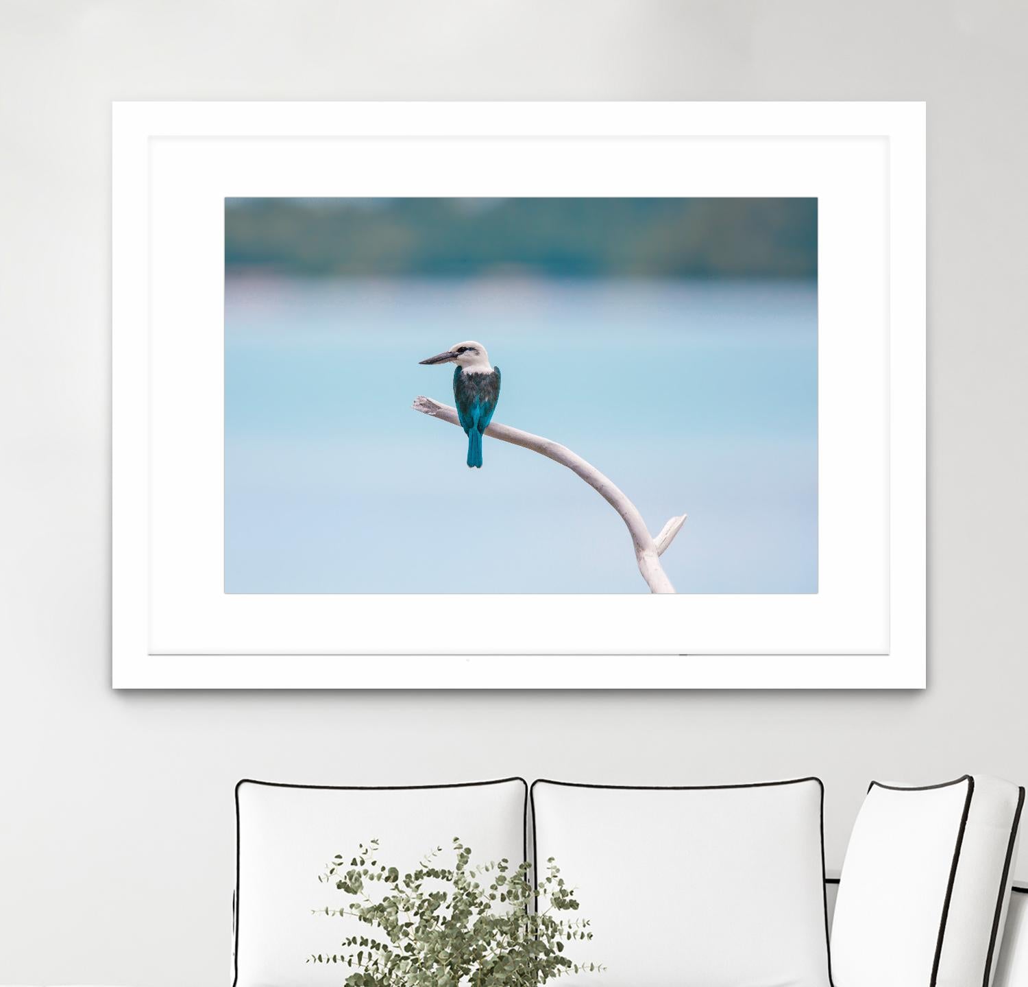 Bird on a branch by Pexels on GIANT ART - white animals