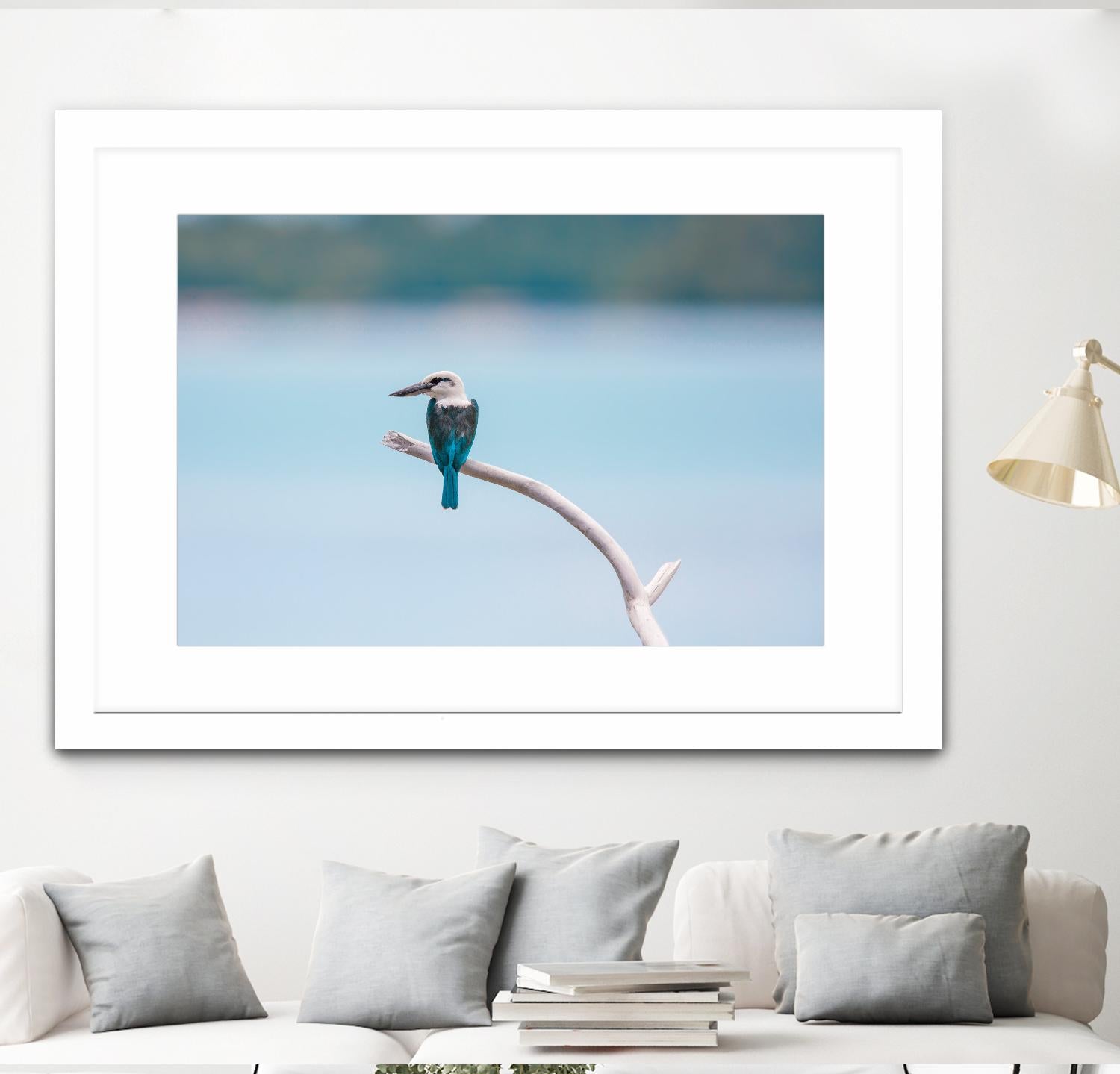 Bird on a branch by Pexels on GIANT ART - white animals