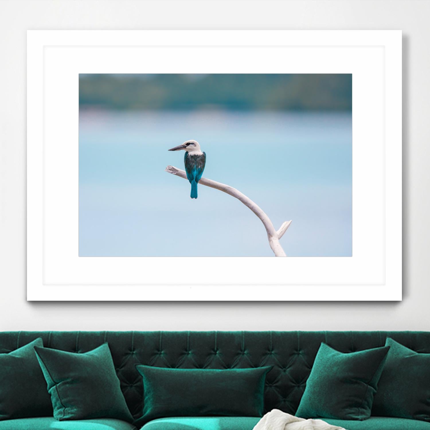 Bird on a branch by Pexels on GIANT ART - white animals