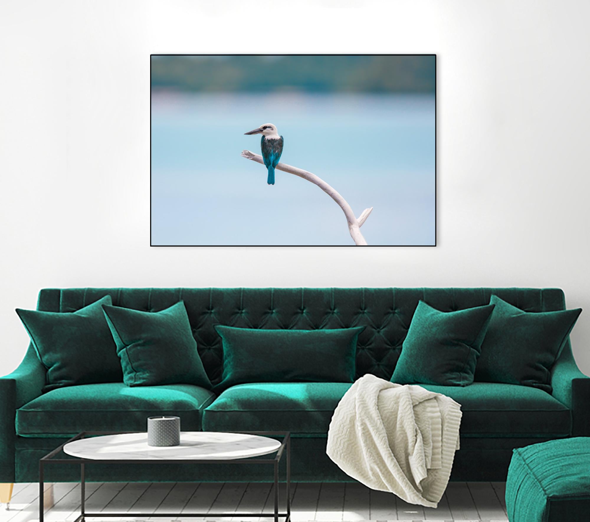 Bird on a branch by Pexels on GIANT ART - white animals