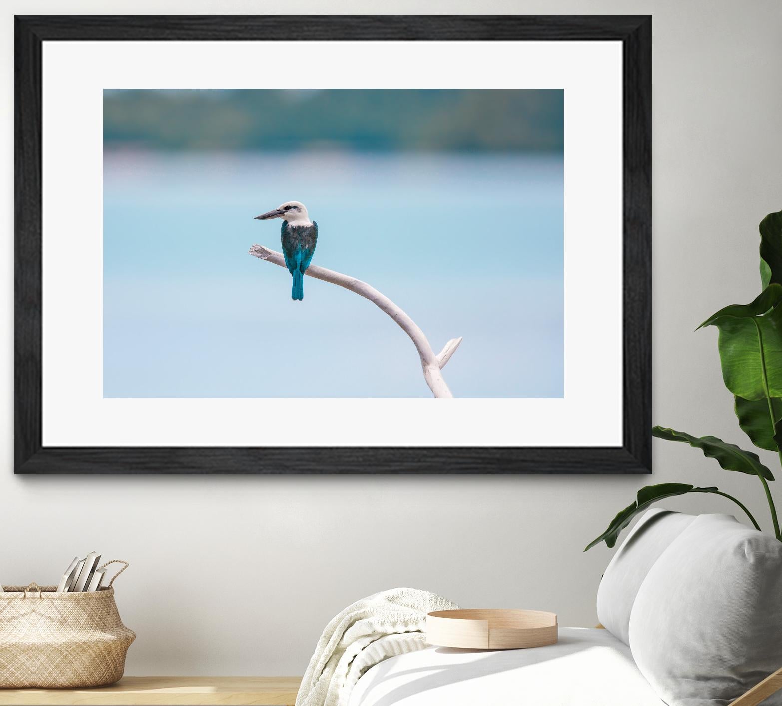 Bird on a branch by Pexels on GIANT ART - white animals