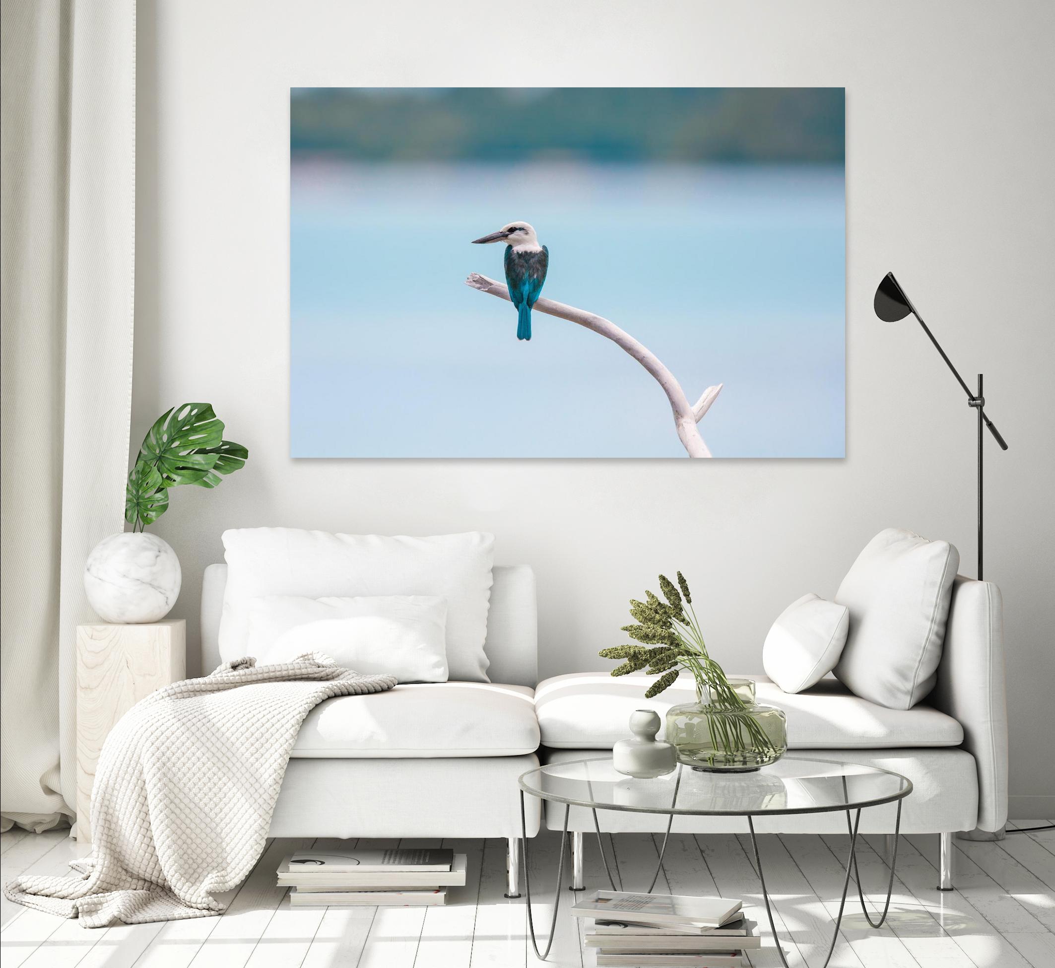 Bird on a branch by Pexels on GIANT ART - white animals