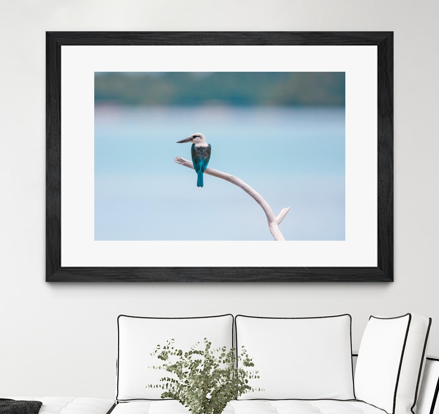 Bird on a branch by Pexels on GIANT ART - white animals