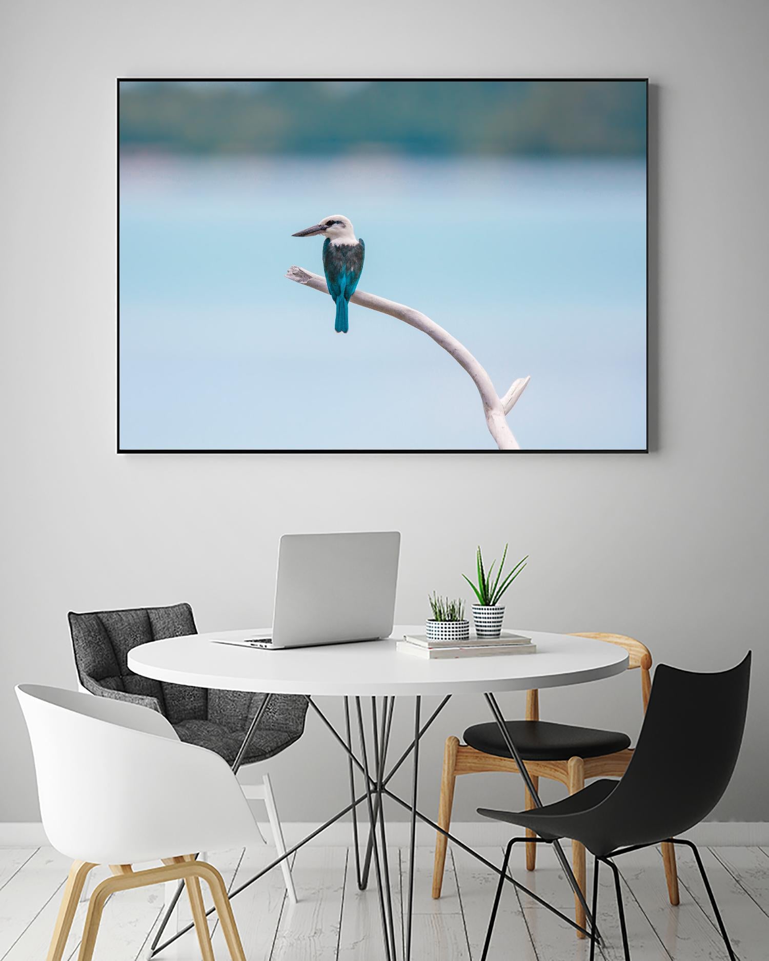 Bird on a branch by Pexels on GIANT ART - white animals