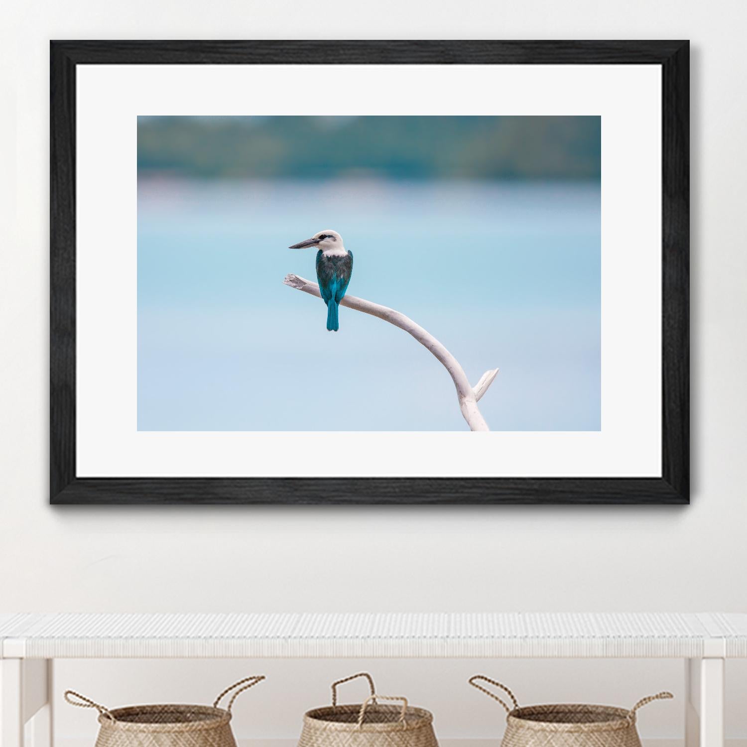 Bird on a branch by Pexels on GIANT ART - white animals