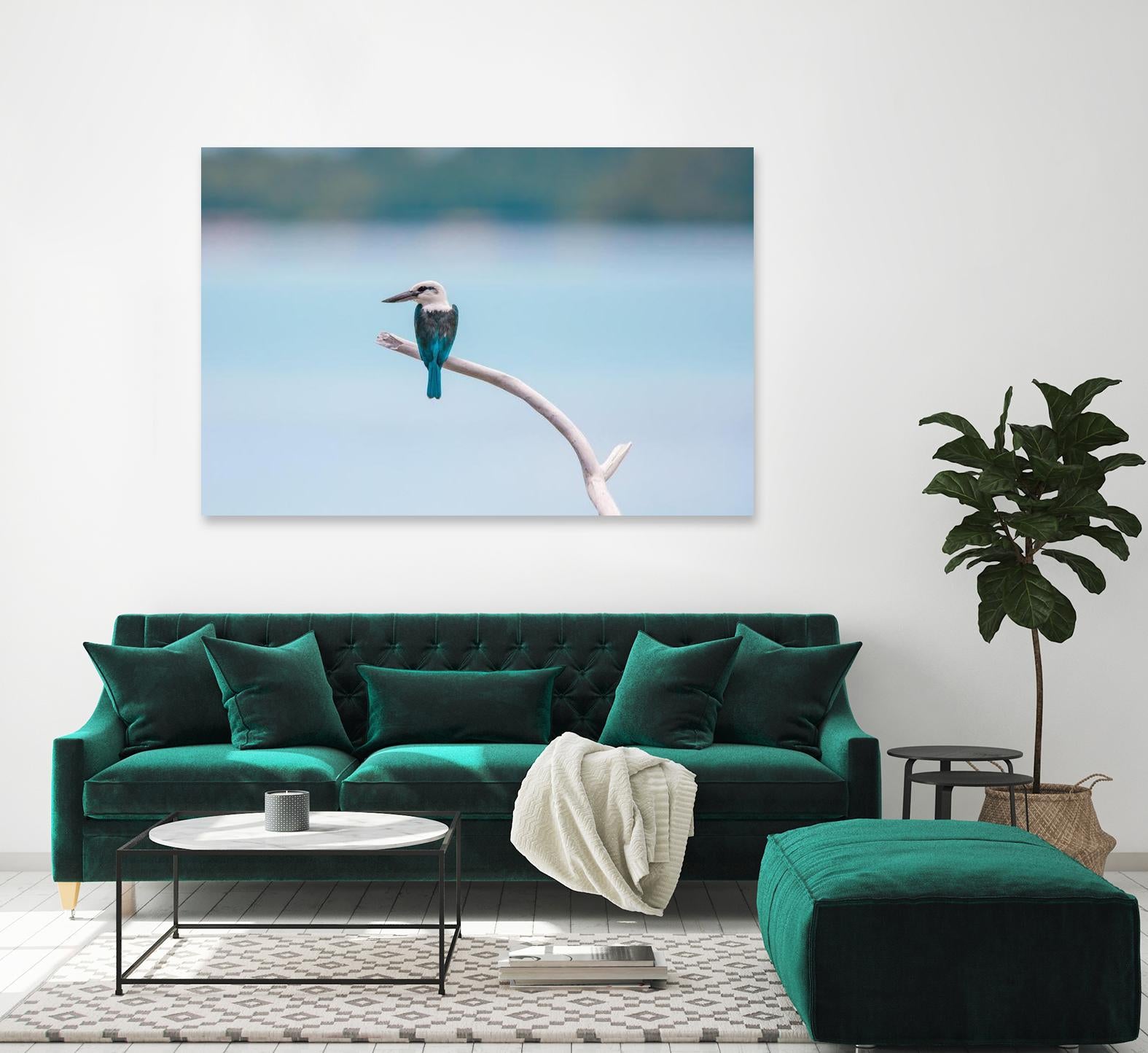 Bird on a branch by Pexels on GIANT ART - white animals