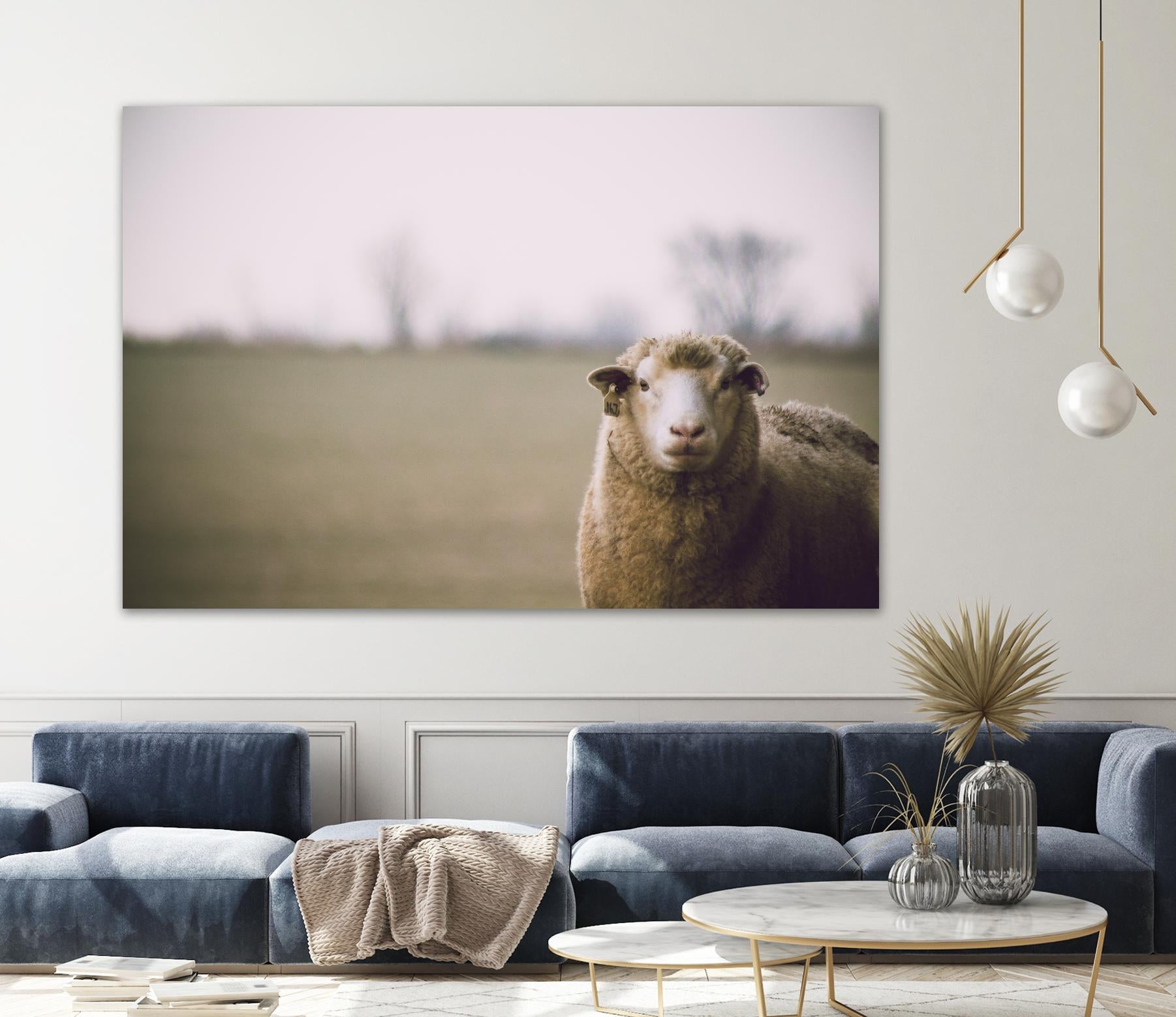 Baa 167 by Pexels on GIANT ART - white animals