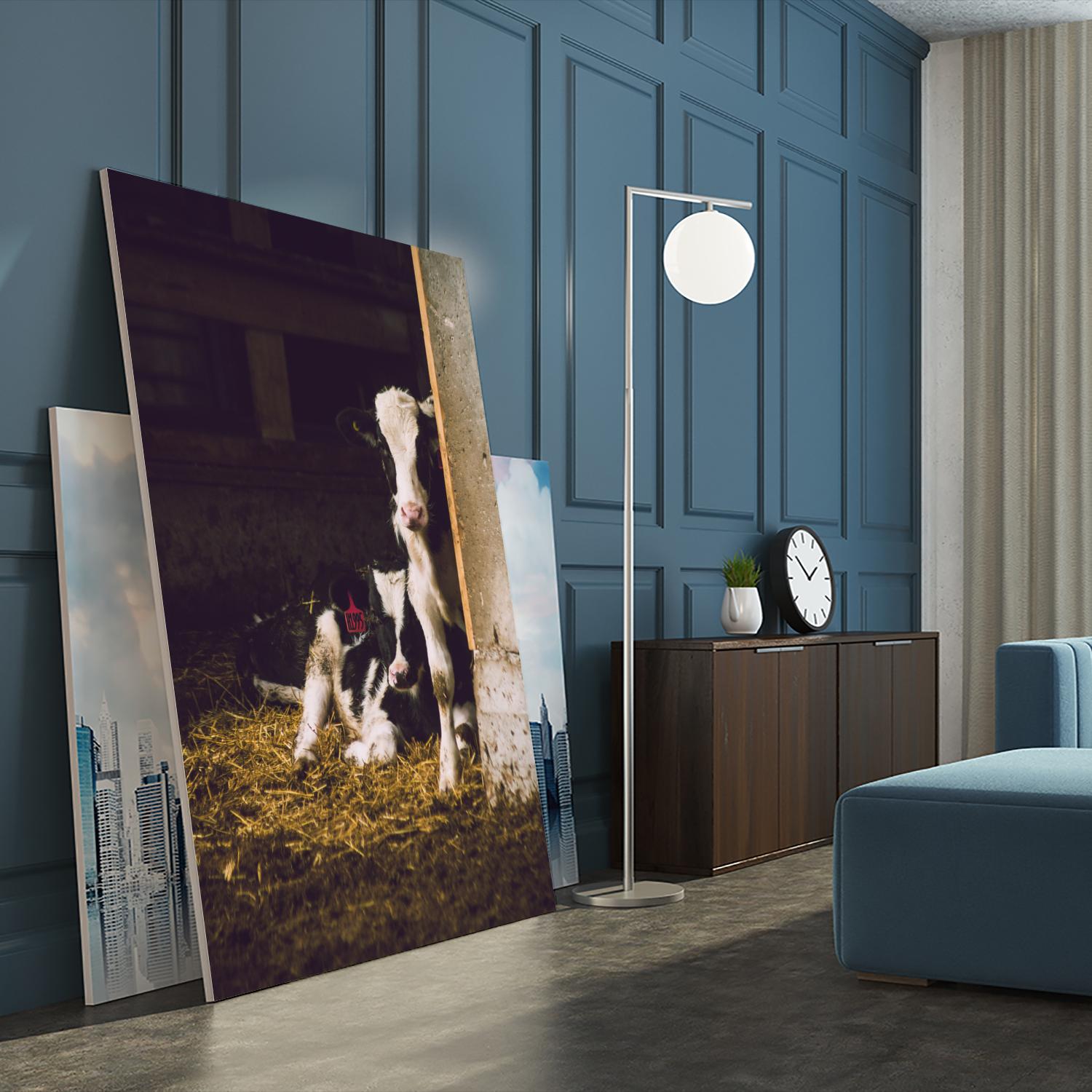 Siblings by Pexels on GIANT ART - yellow animals