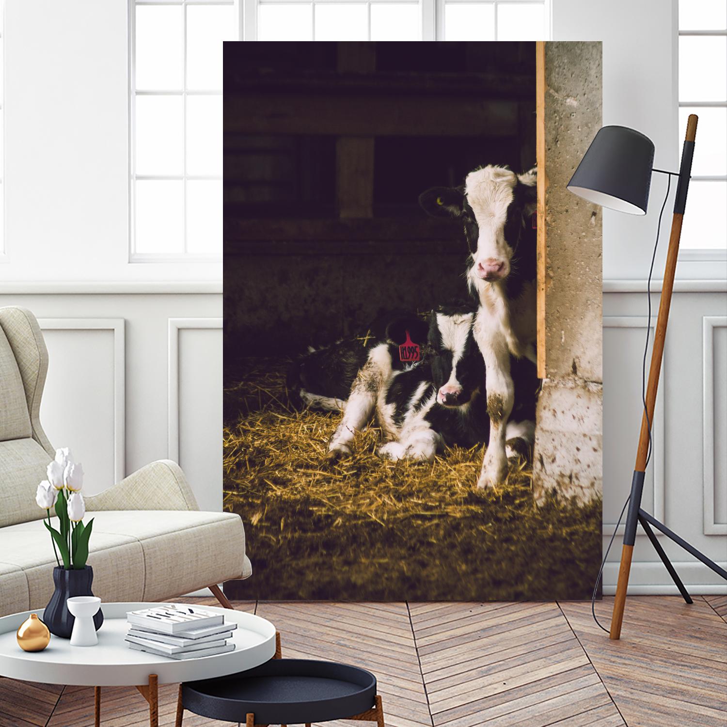 Siblings by Pexels on GIANT ART - yellow animals