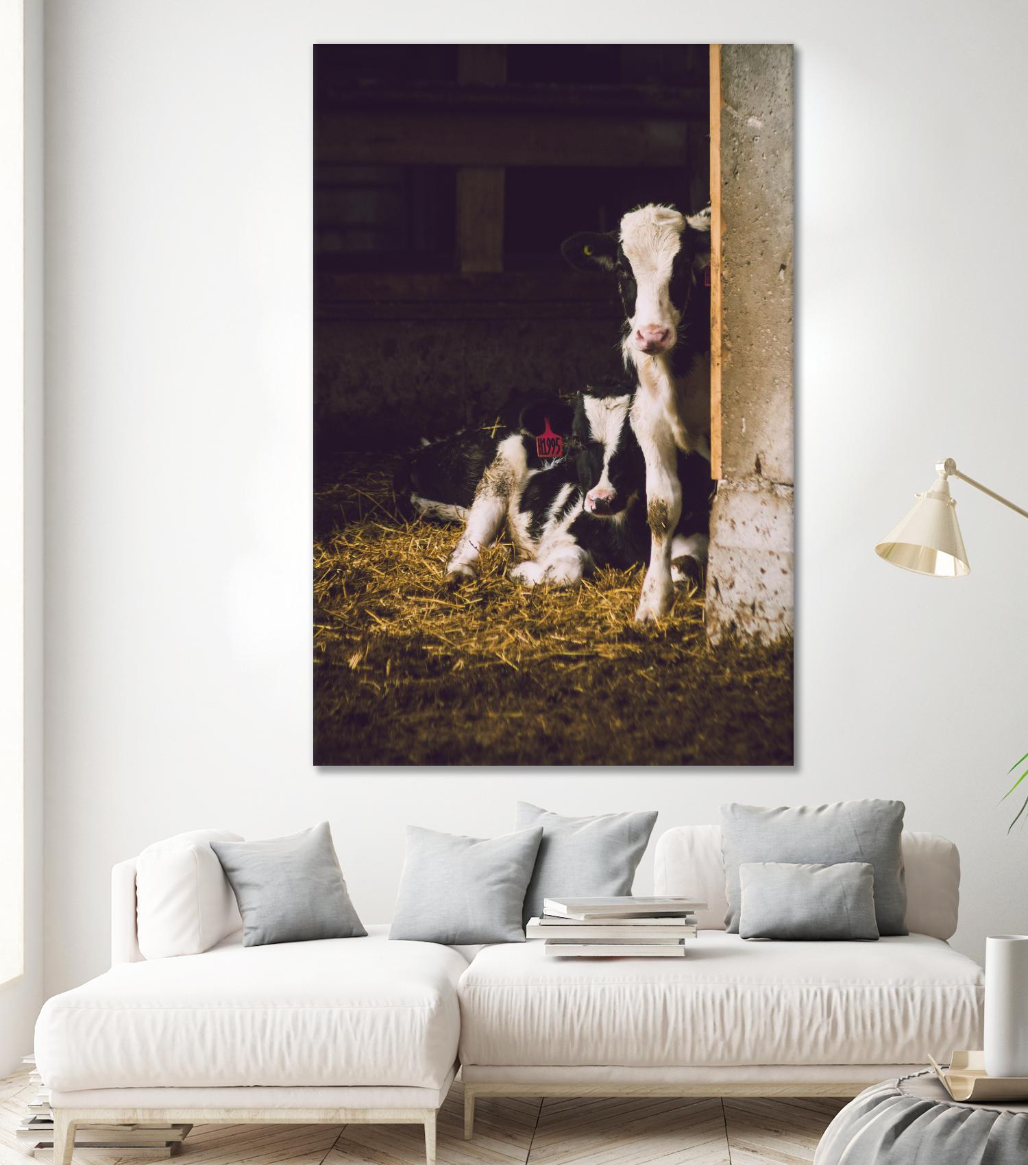 Siblings by Pexels on GIANT ART - yellow animals