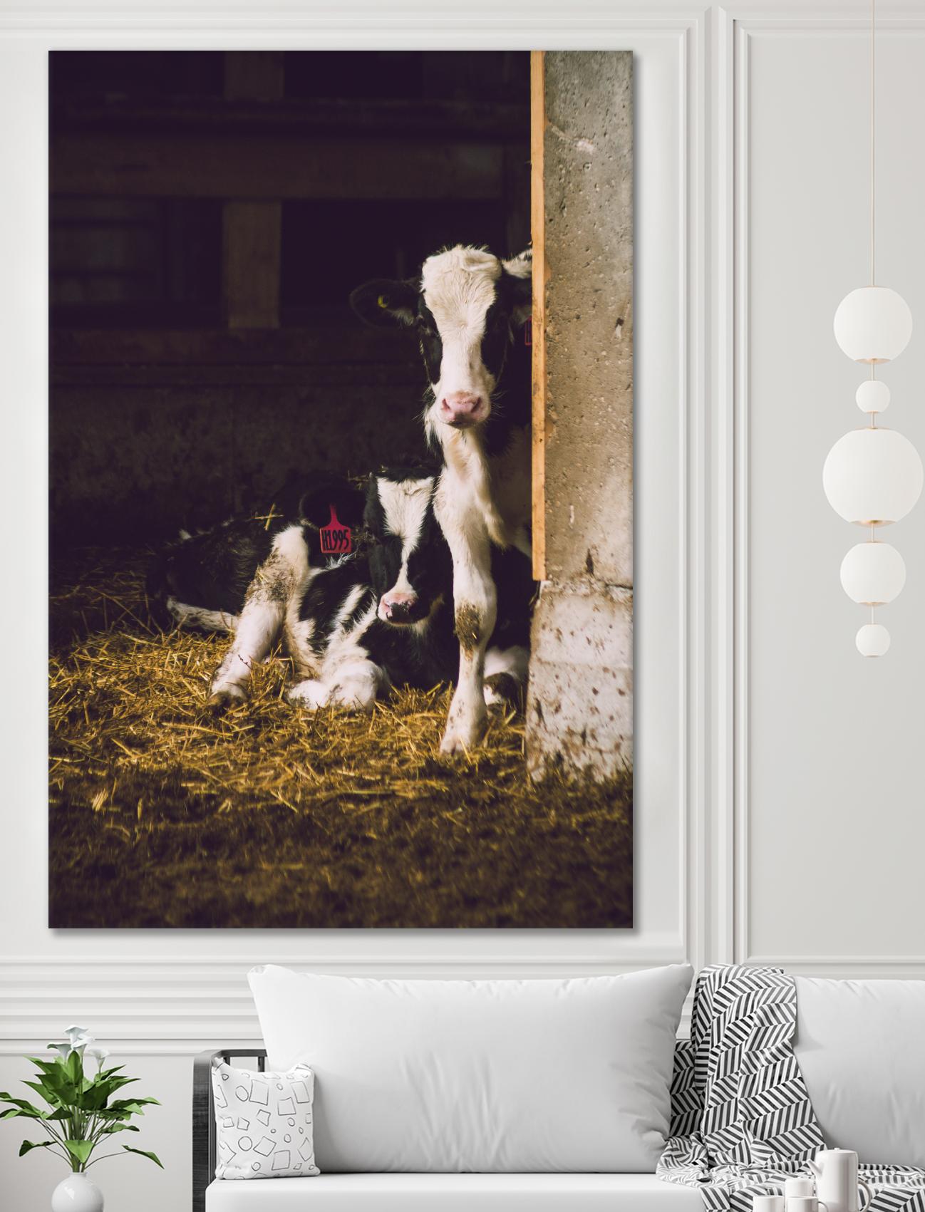 Siblings by Pexels on GIANT ART - yellow animals