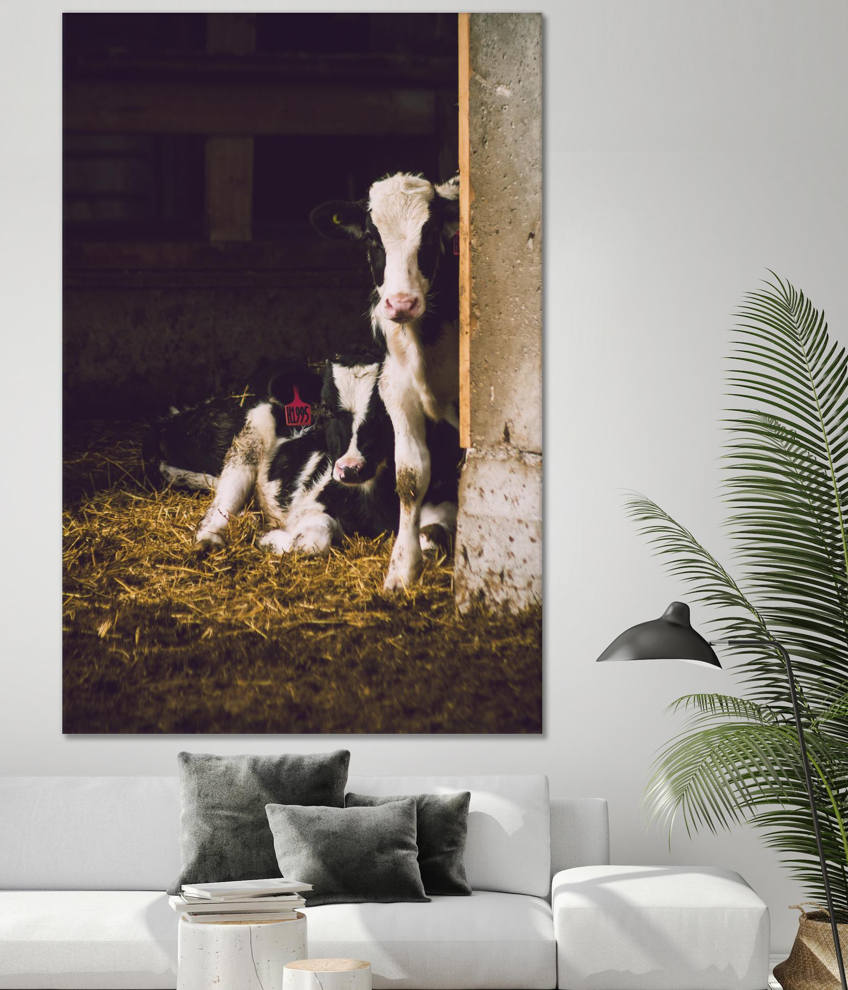 Siblings by Pexels on GIANT ART - yellow animals