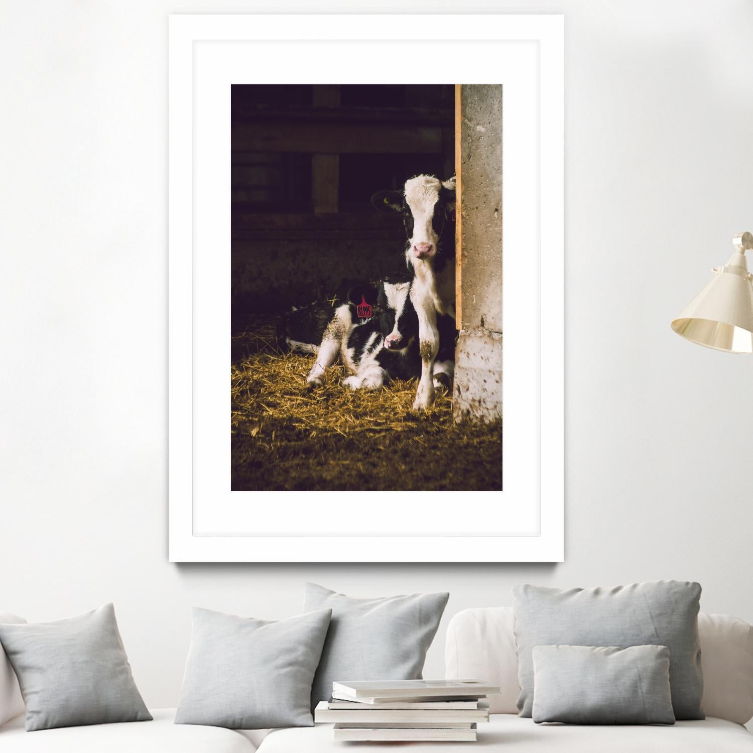 Siblings by Pexels on GIANT ART - yellow animals