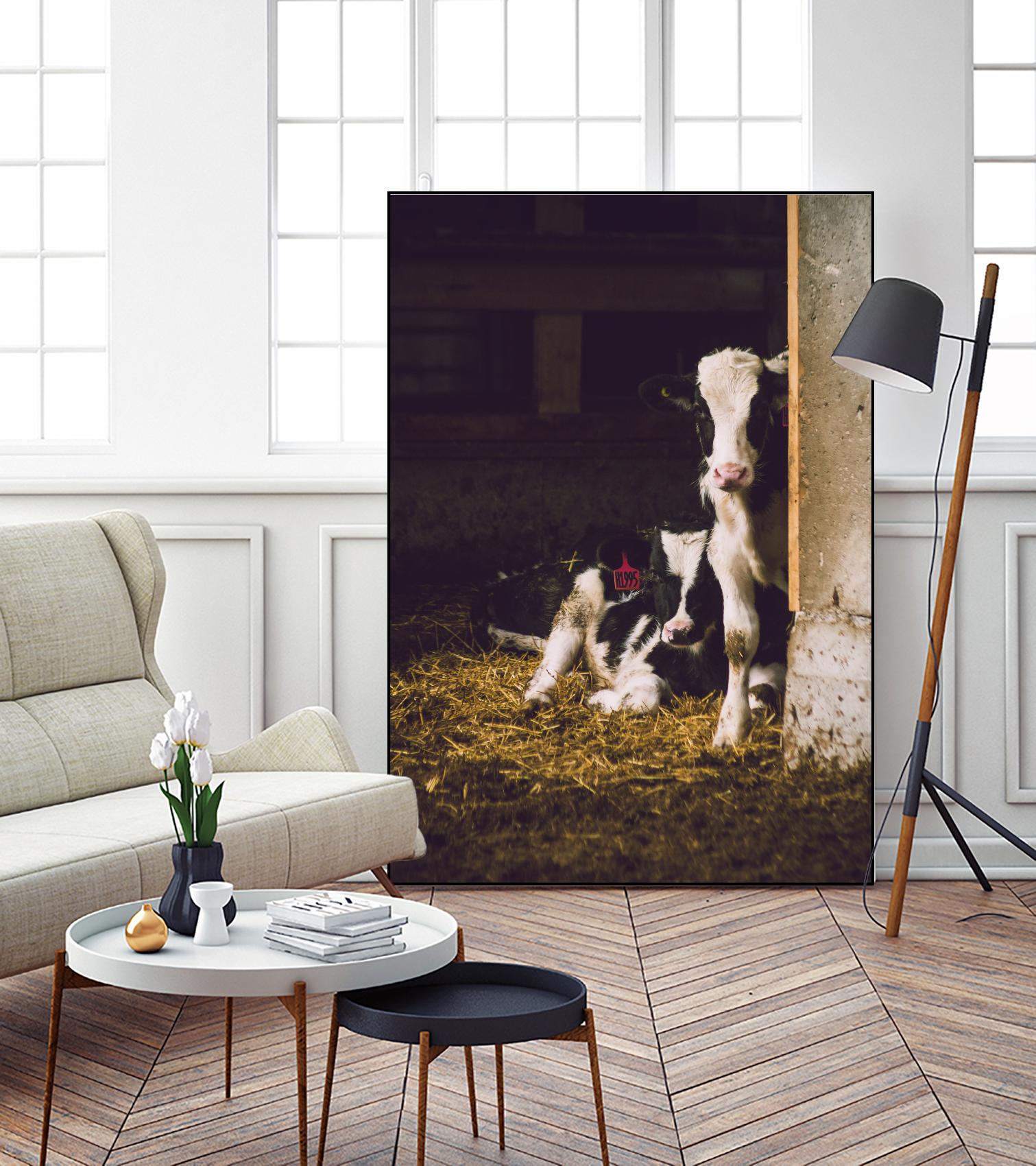 Siblings by Pexels on GIANT ART - yellow animals