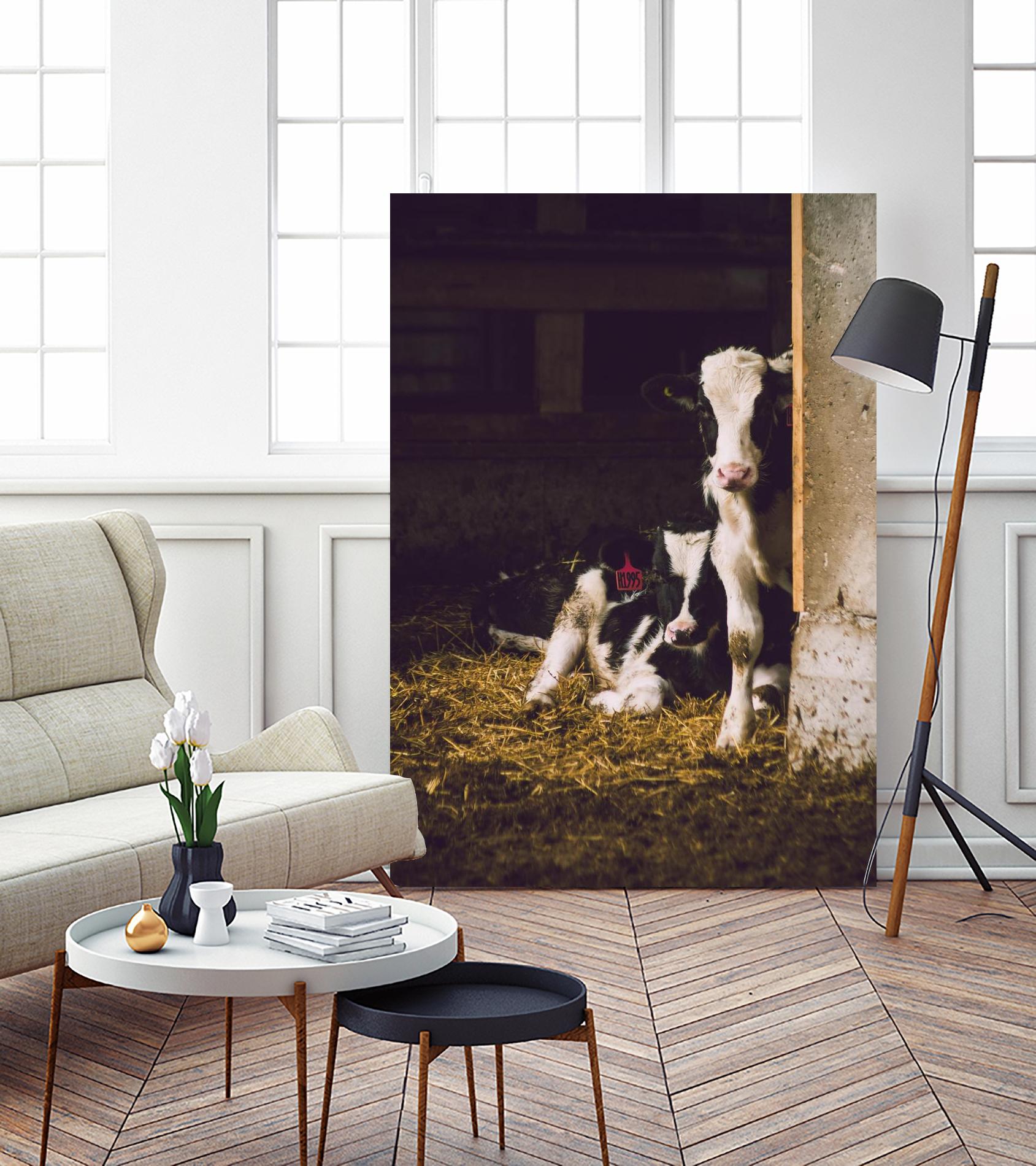 Siblings by Pexels on GIANT ART - yellow animals