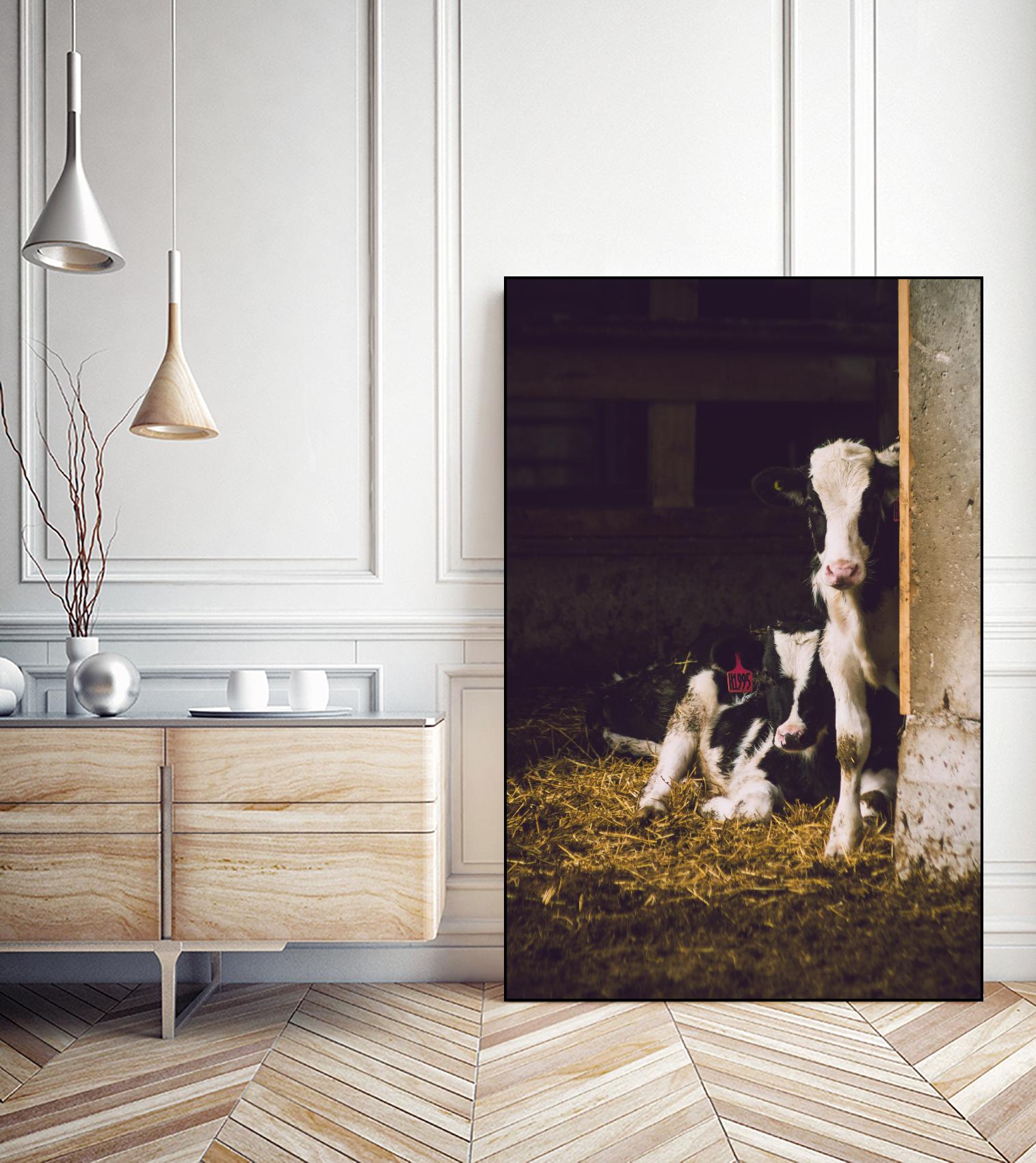 Siblings by Pexels on GIANT ART - yellow animals