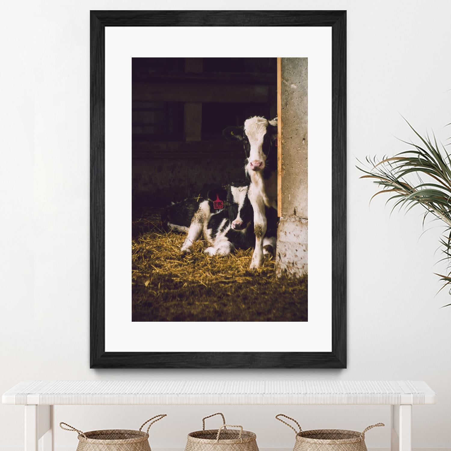 Siblings by Pexels on GIANT ART - yellow animals