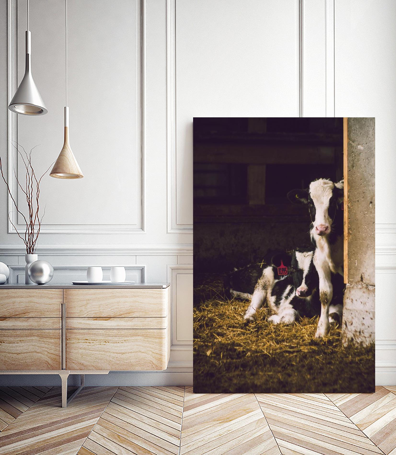 Siblings by Pexels on GIANT ART - yellow animals