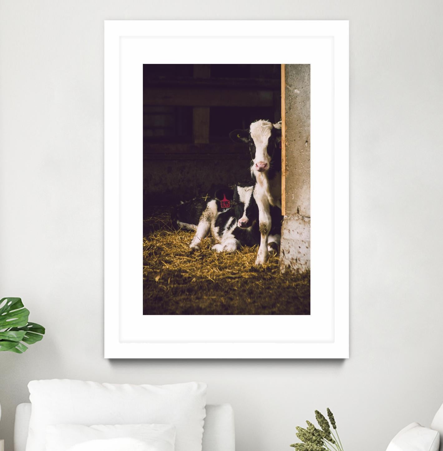 Siblings by Pexels on GIANT ART - yellow animals