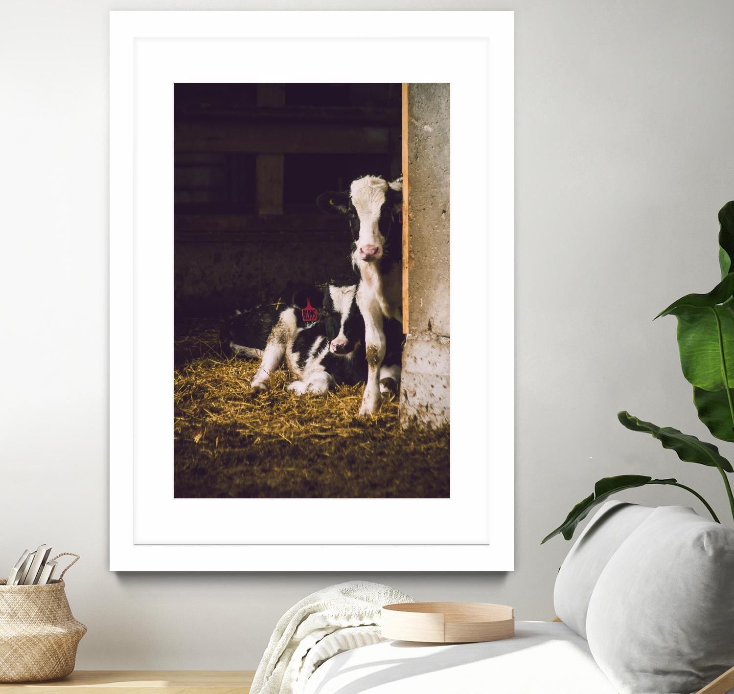 Siblings by Pexels on GIANT ART - yellow animals