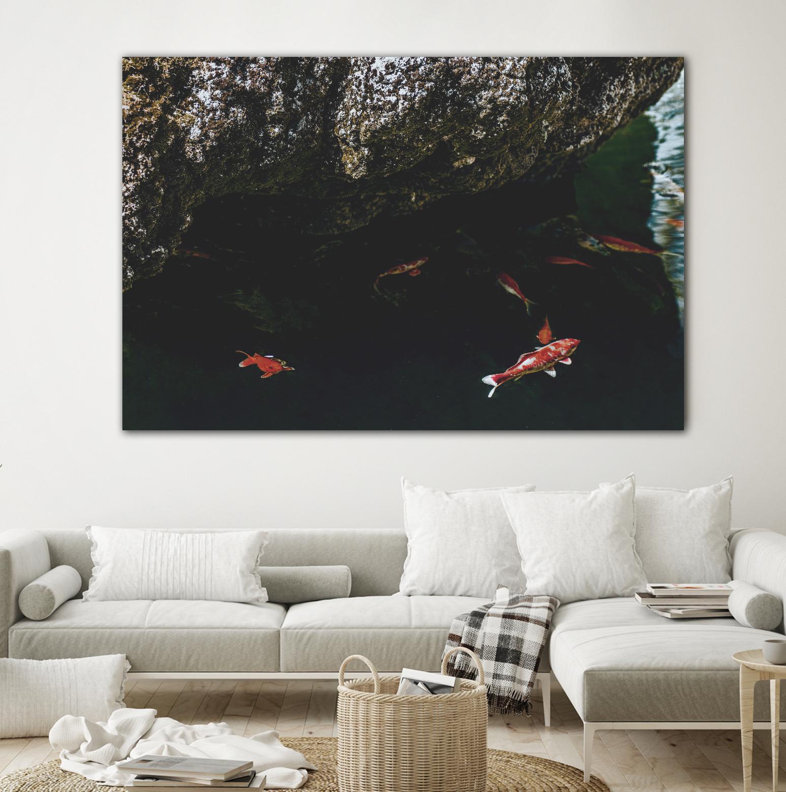 Hiding Koi by Pexels on GIANT ART - orange animals