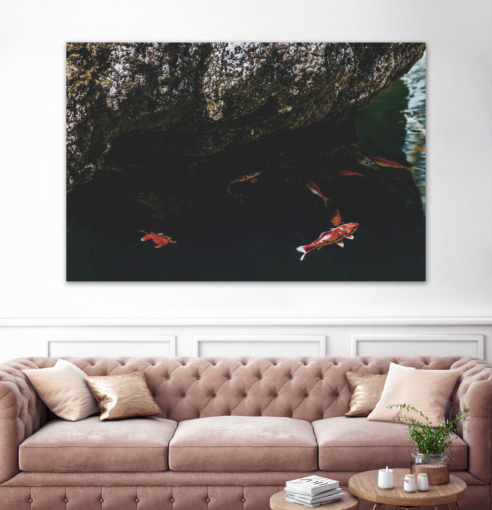 Hiding Koi by Pexels on GIANT ART - orange animals