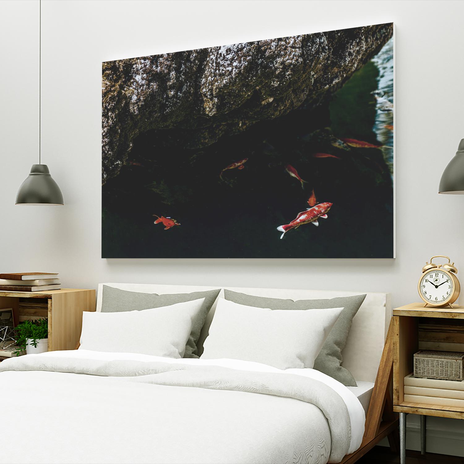 Hiding Koi by Pexels on GIANT ART - orange animals