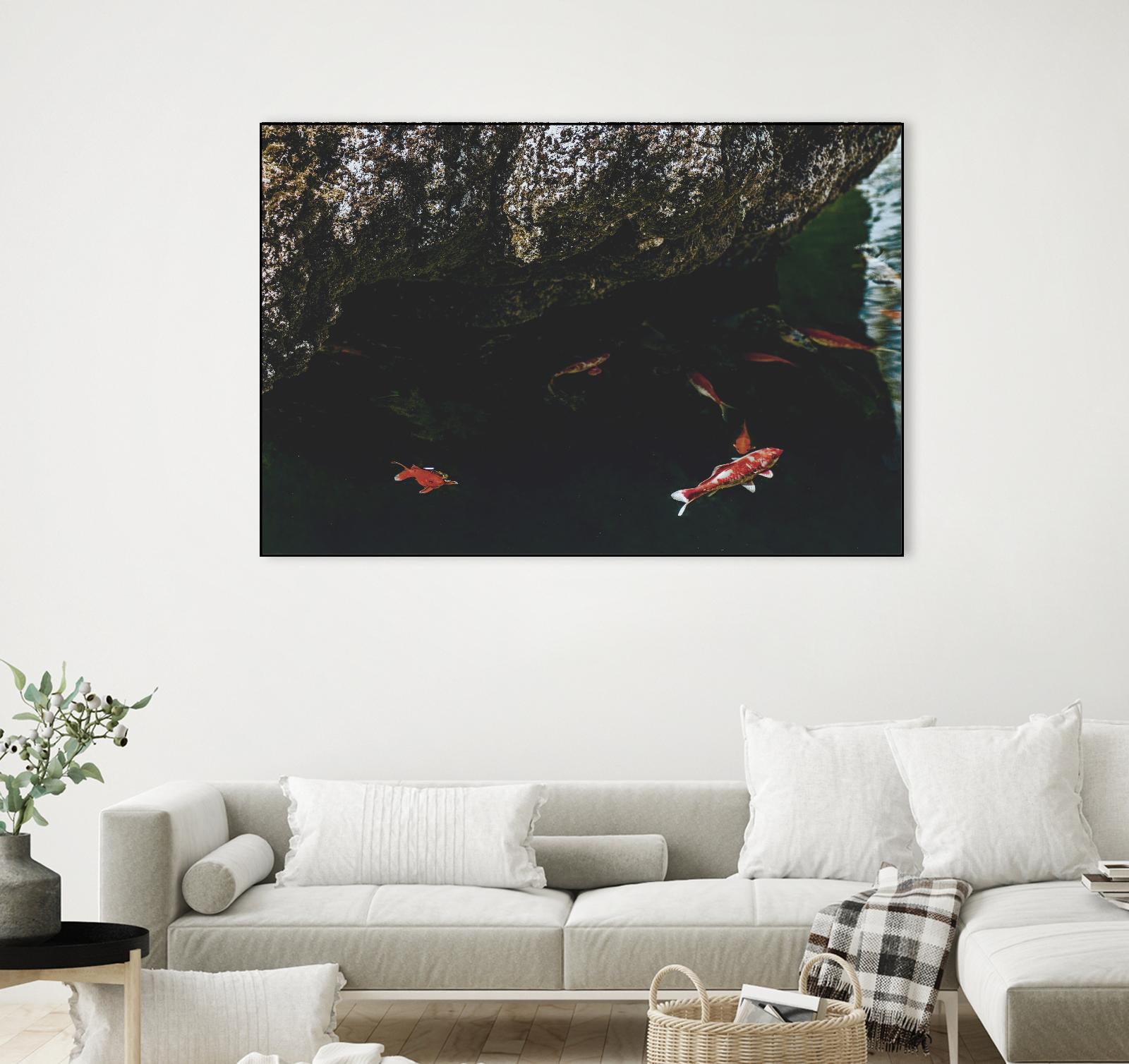 Hiding Koi by Pexels on GIANT ART - orange animals