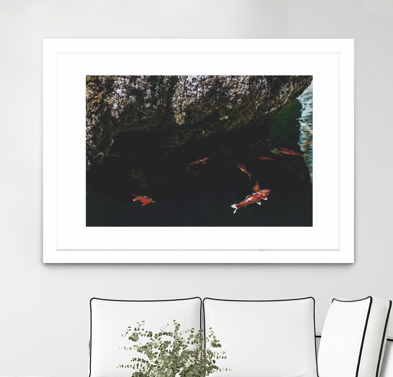 Hiding Koi by Pexels on GIANT ART - orange animals