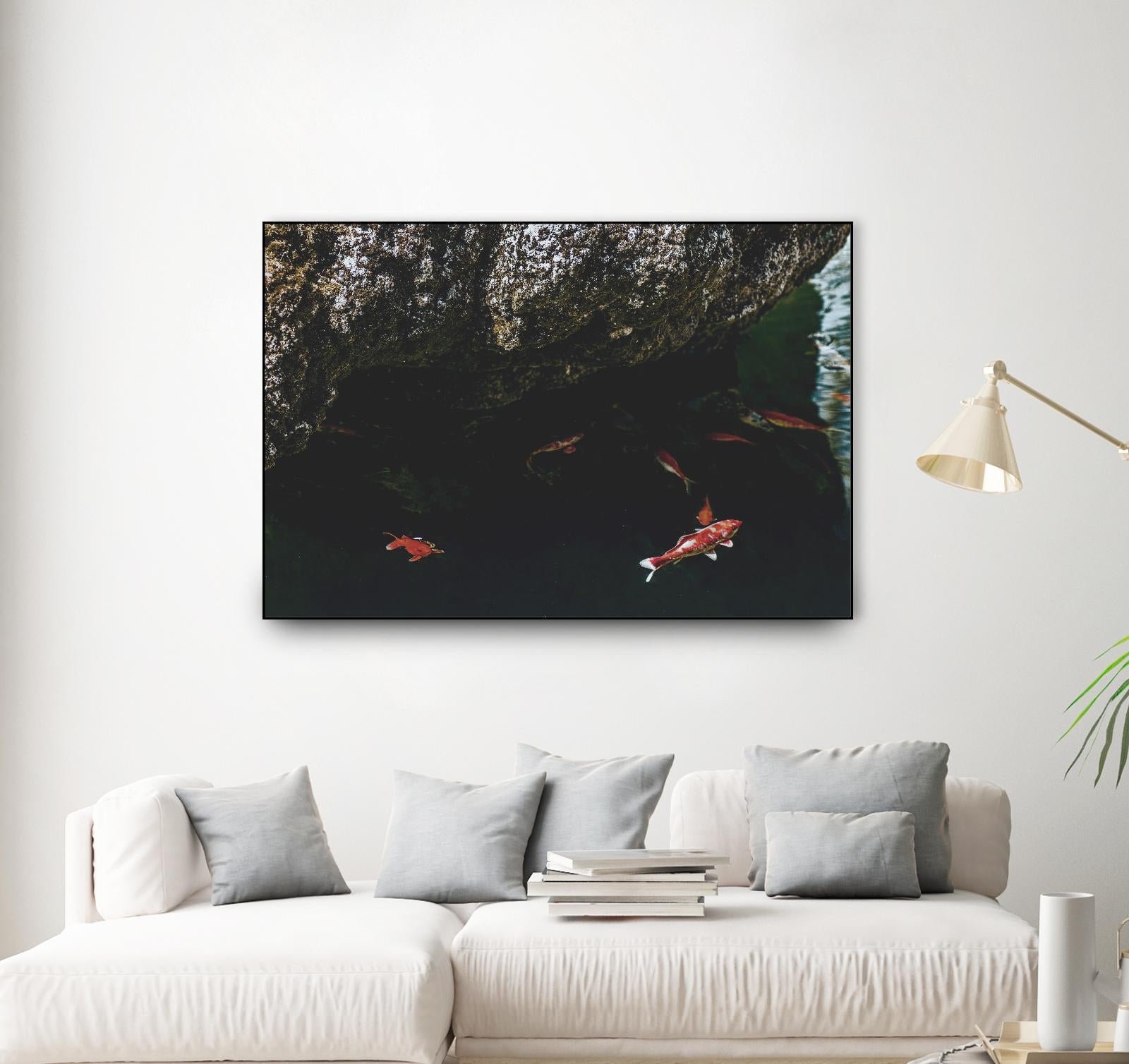 Hiding Koi by Pexels on GIANT ART - orange animals