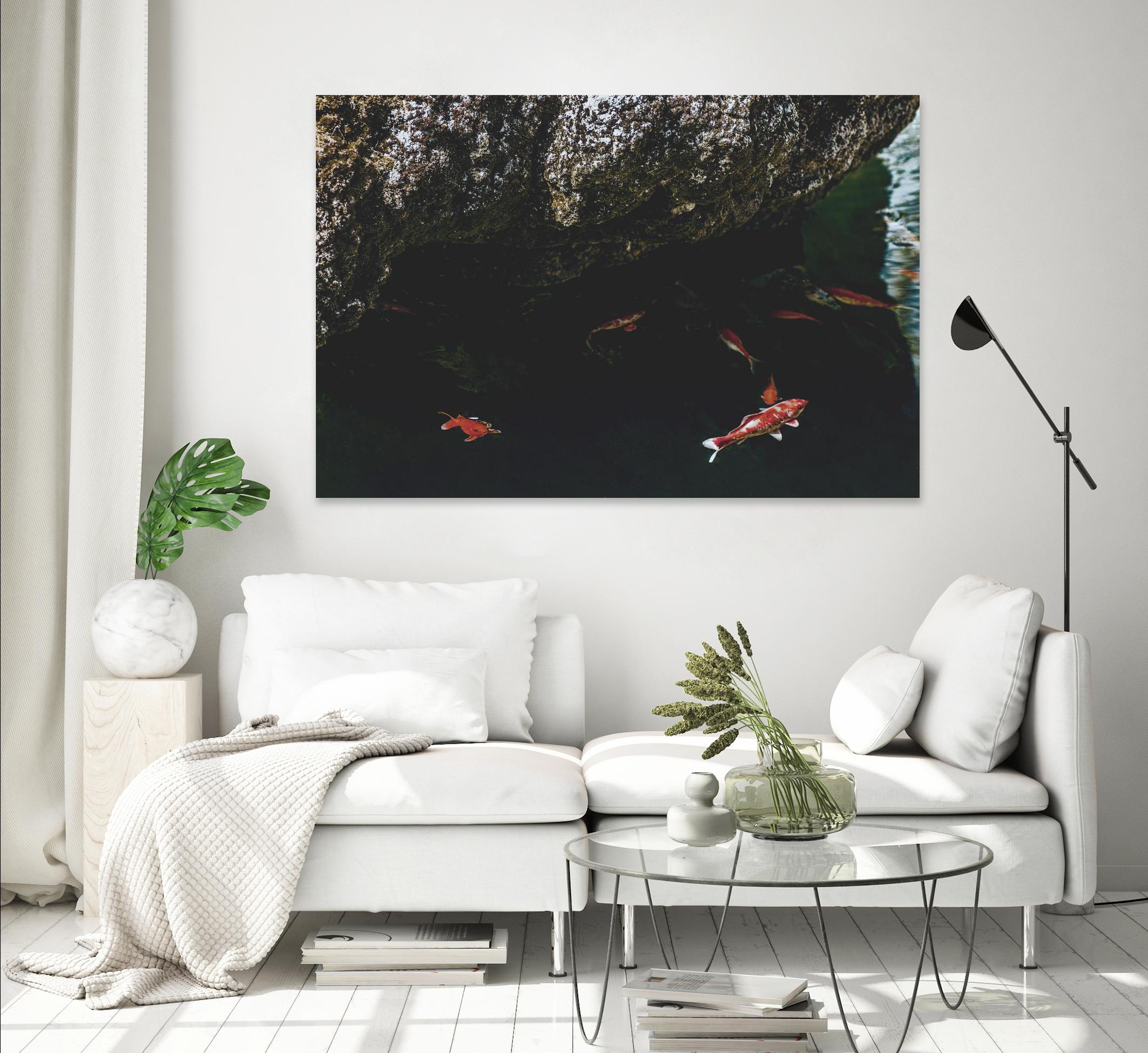 Hiding Koi by Pexels on GIANT ART - orange animals