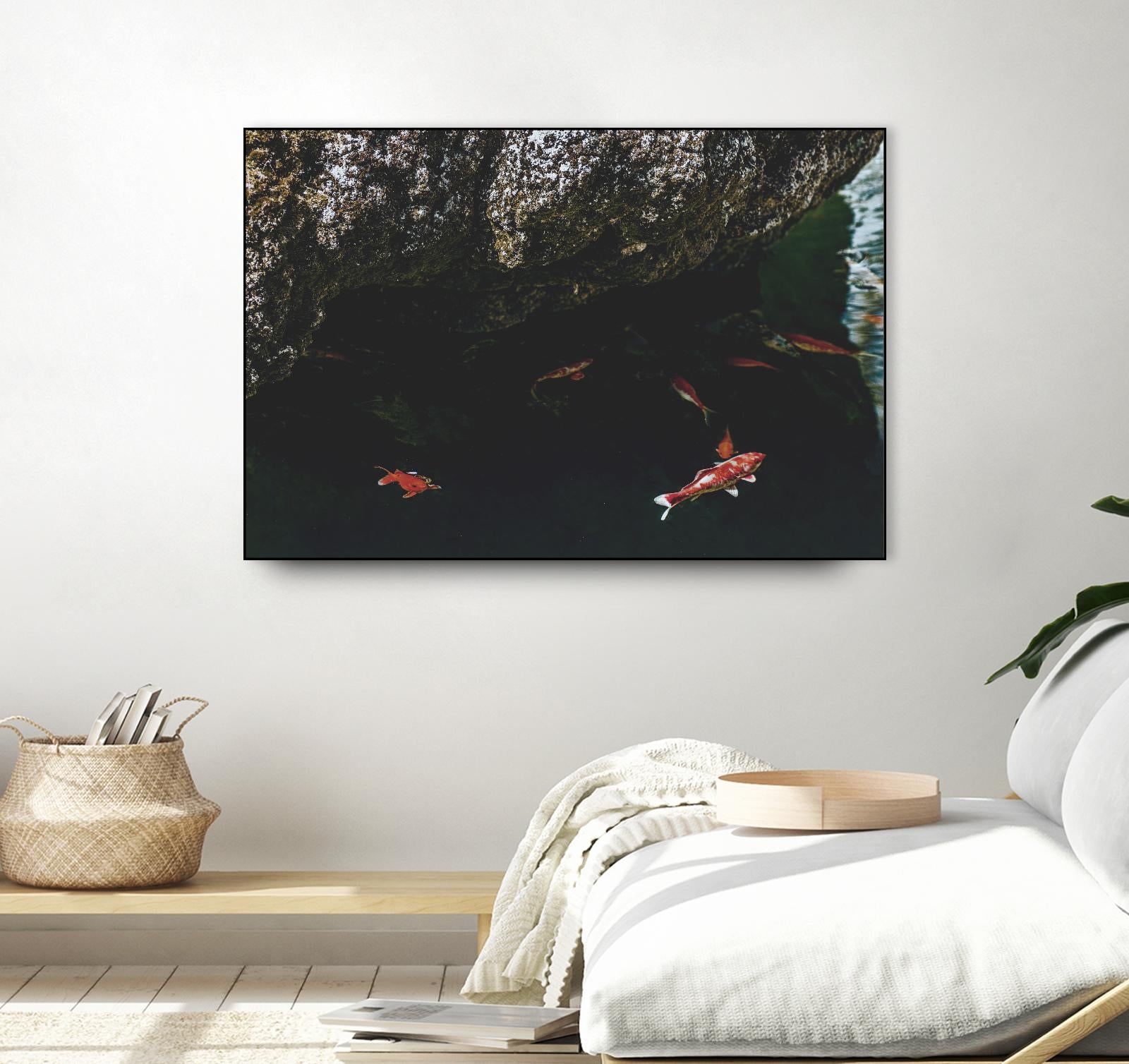 Hiding Koi by Pexels on GIANT ART - orange animals