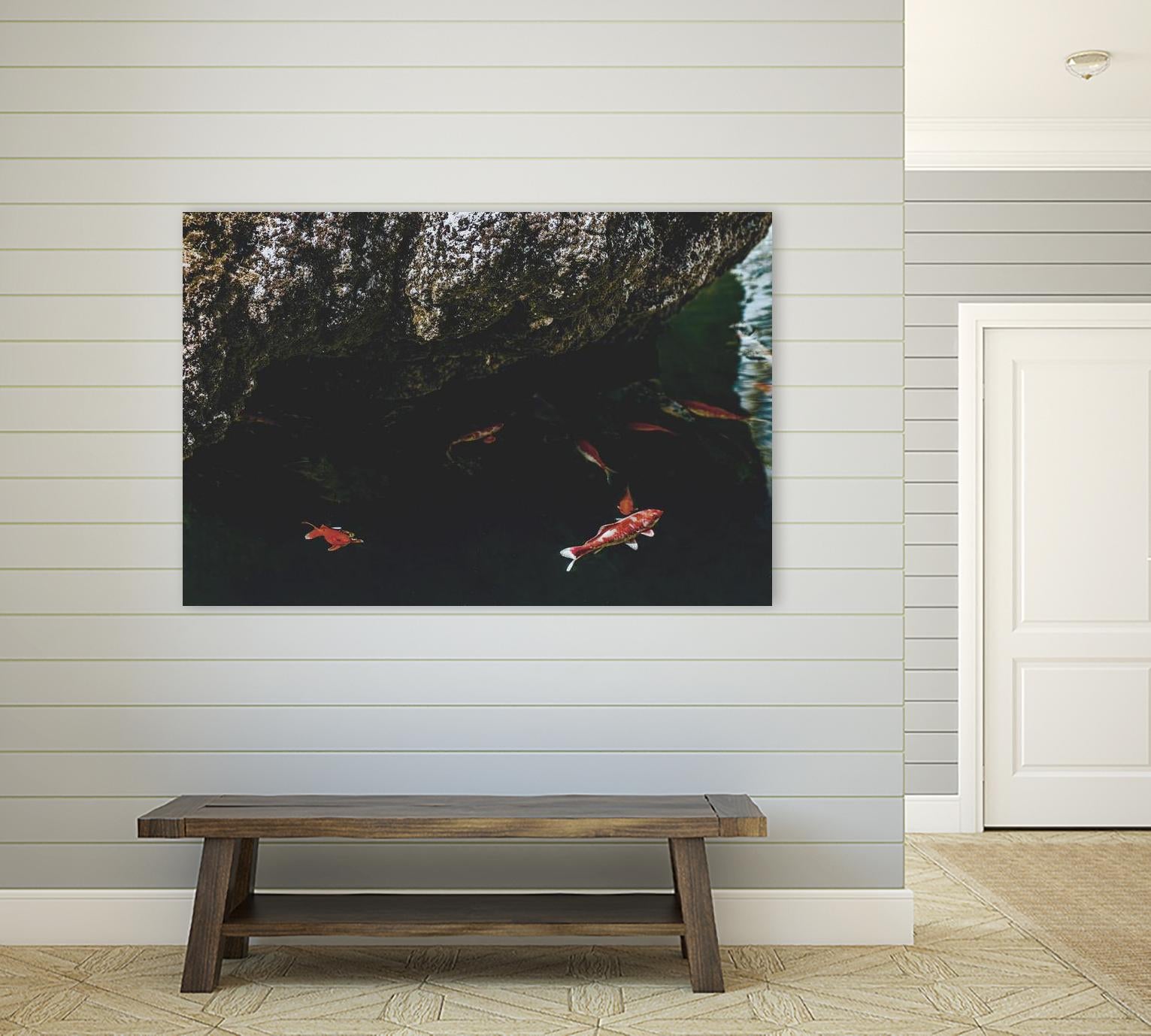 Hiding Koi by Pexels on GIANT ART - orange animals