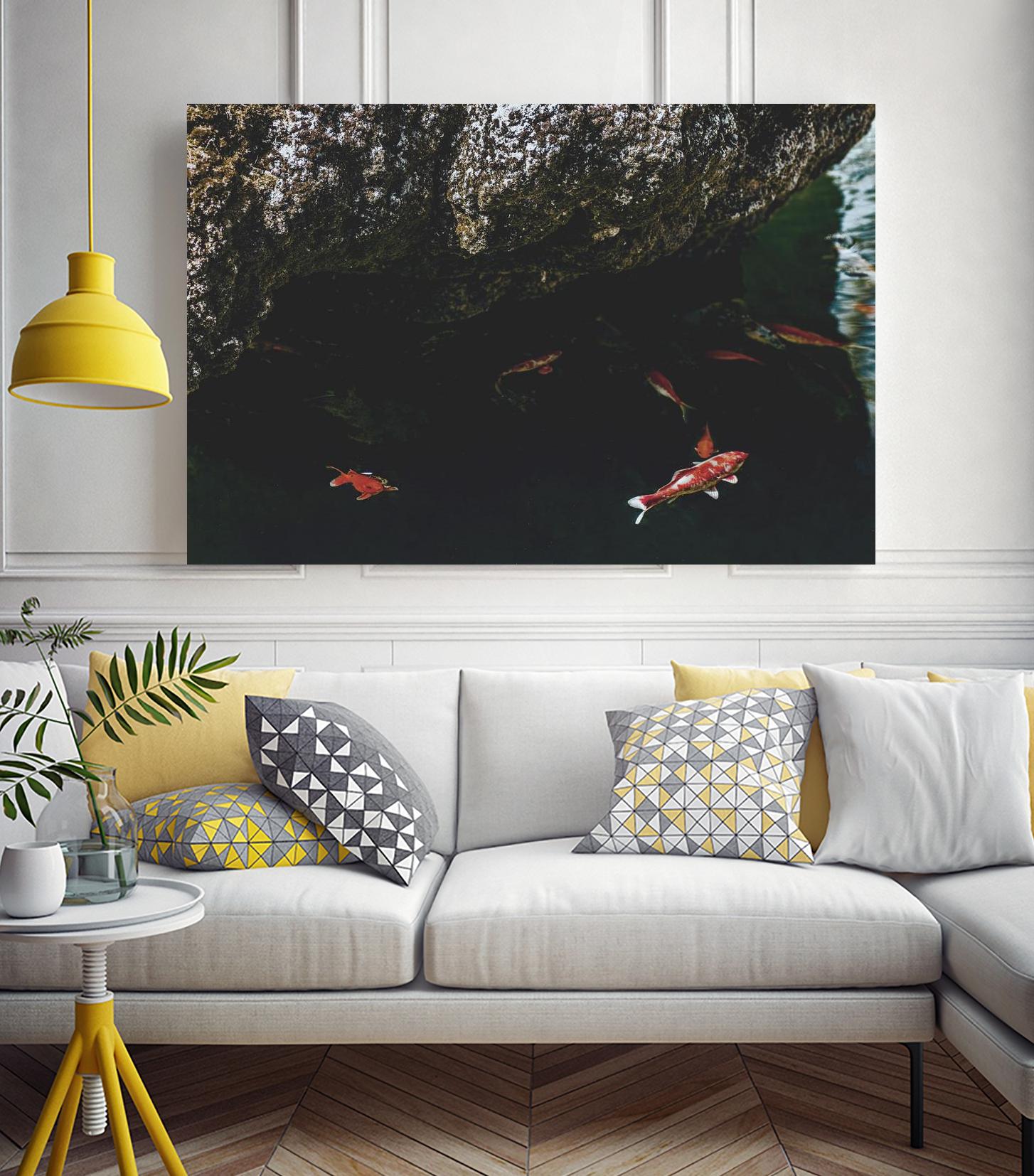 Hiding Koi by Pexels on GIANT ART - orange animals