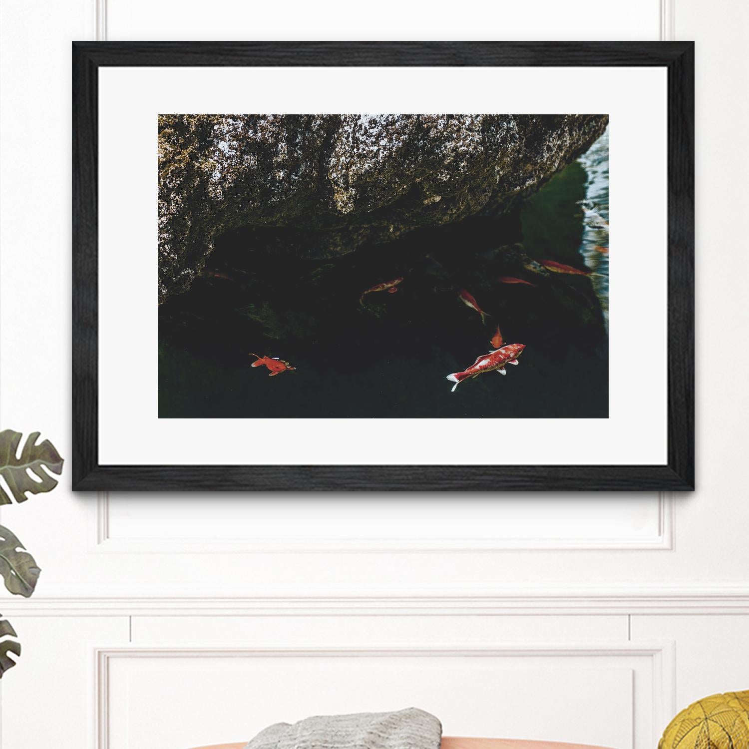 Hiding Koi by Pexels on GIANT ART - orange animals